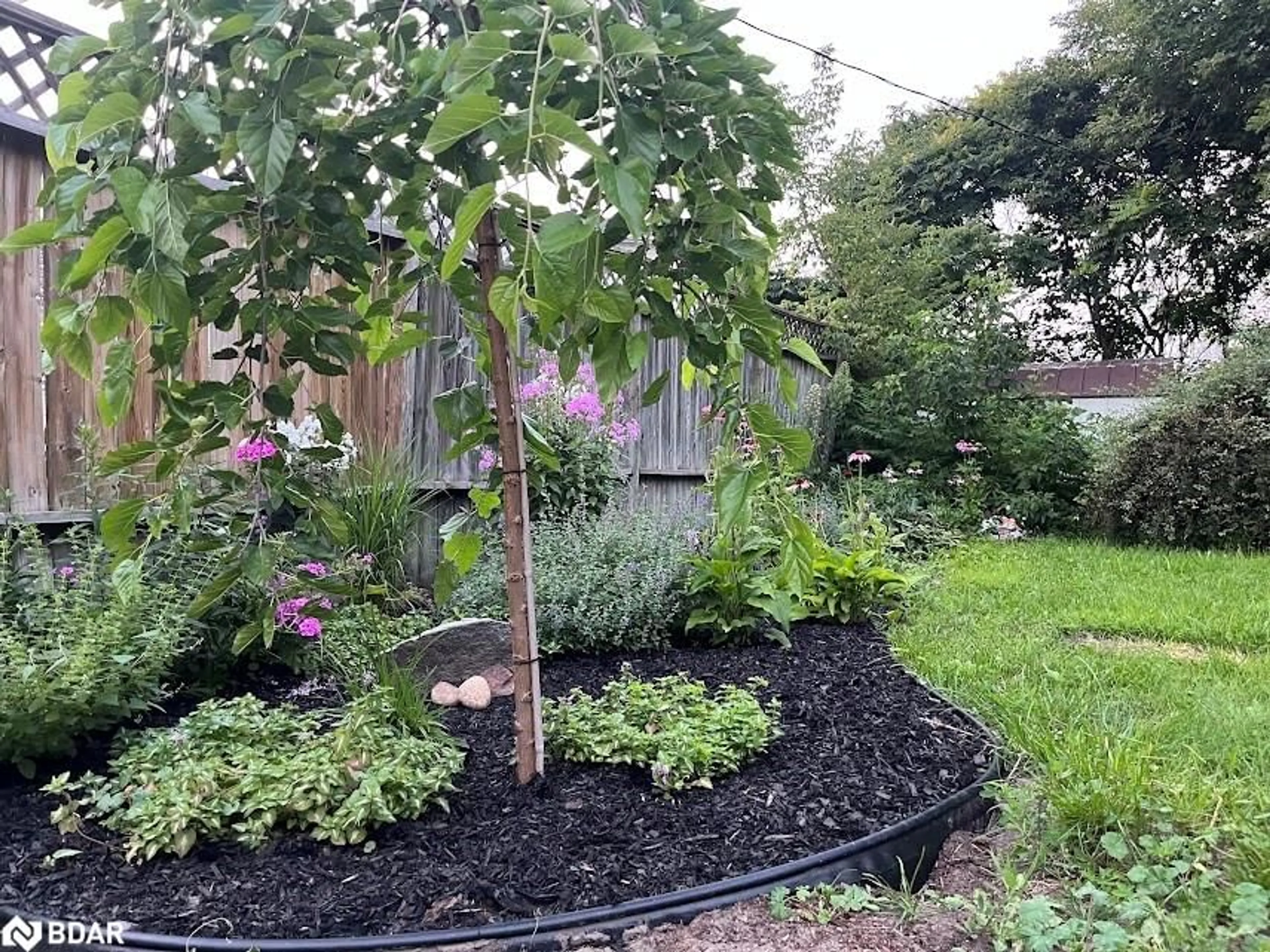 Patio, street for 255 Calford St St, Angus Ontario L0M 1B0