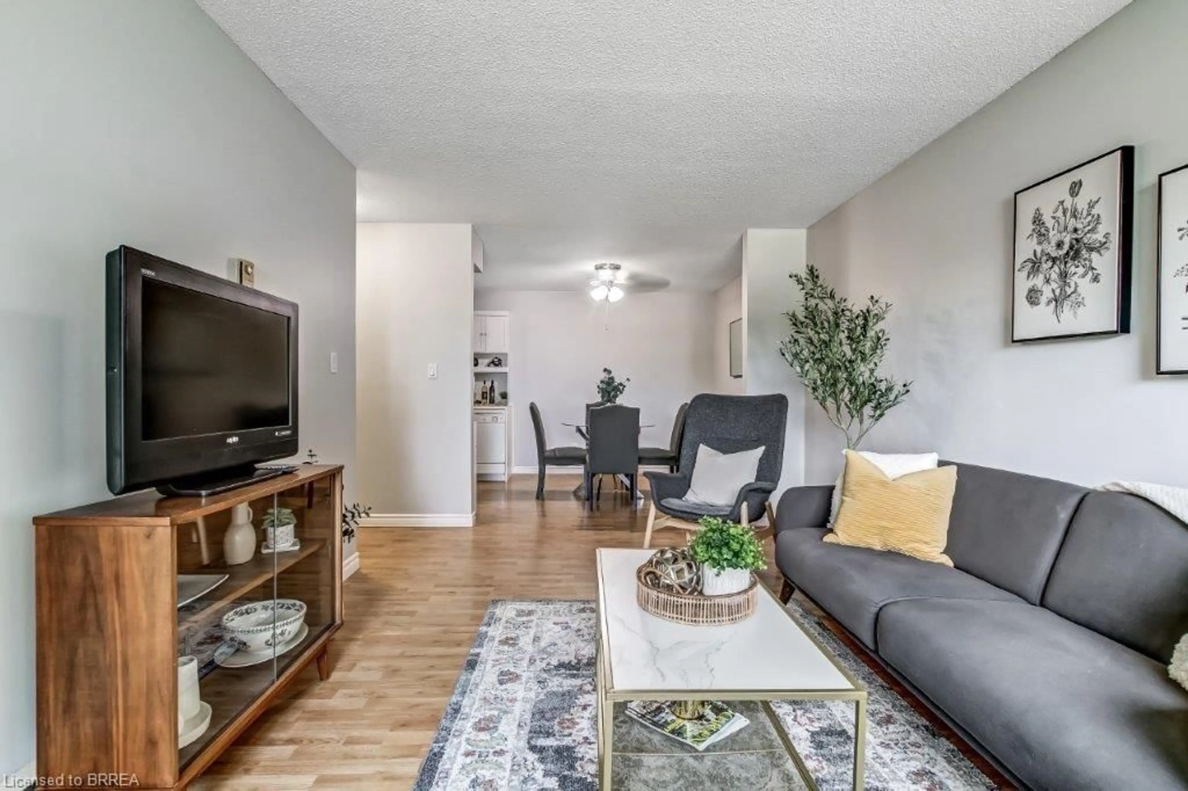 Living room with furniture, wood/laminate floor for 60 Donly Dr #209, Simcoe Ontario N3Y 5K3