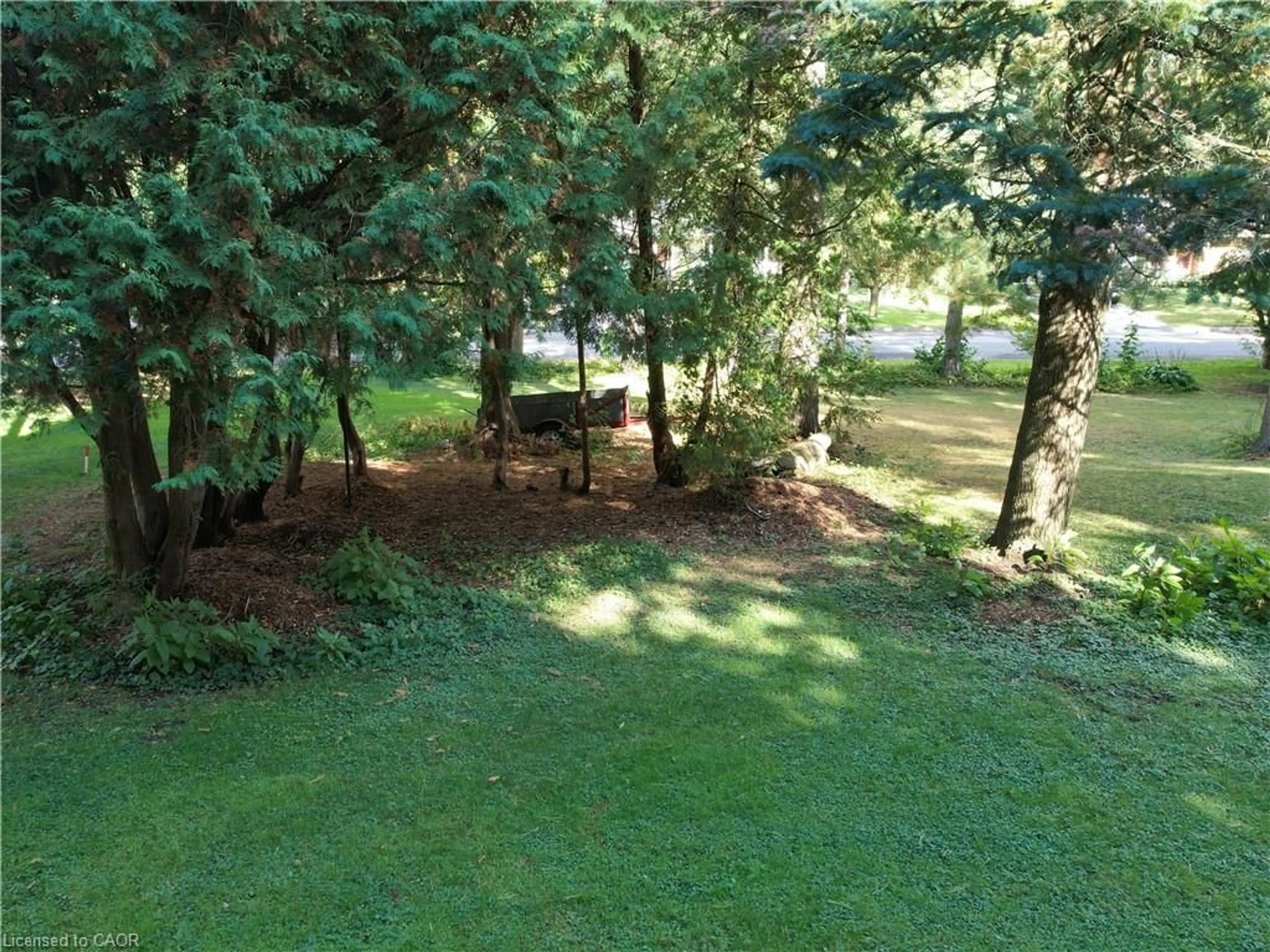 A pic from outside/outdoor area/front of a property/back of a property/a pic from drone, forest/trees view for PTLT2-PT1 Mccall Cres, Simcoe Ontario N3Y 2E1