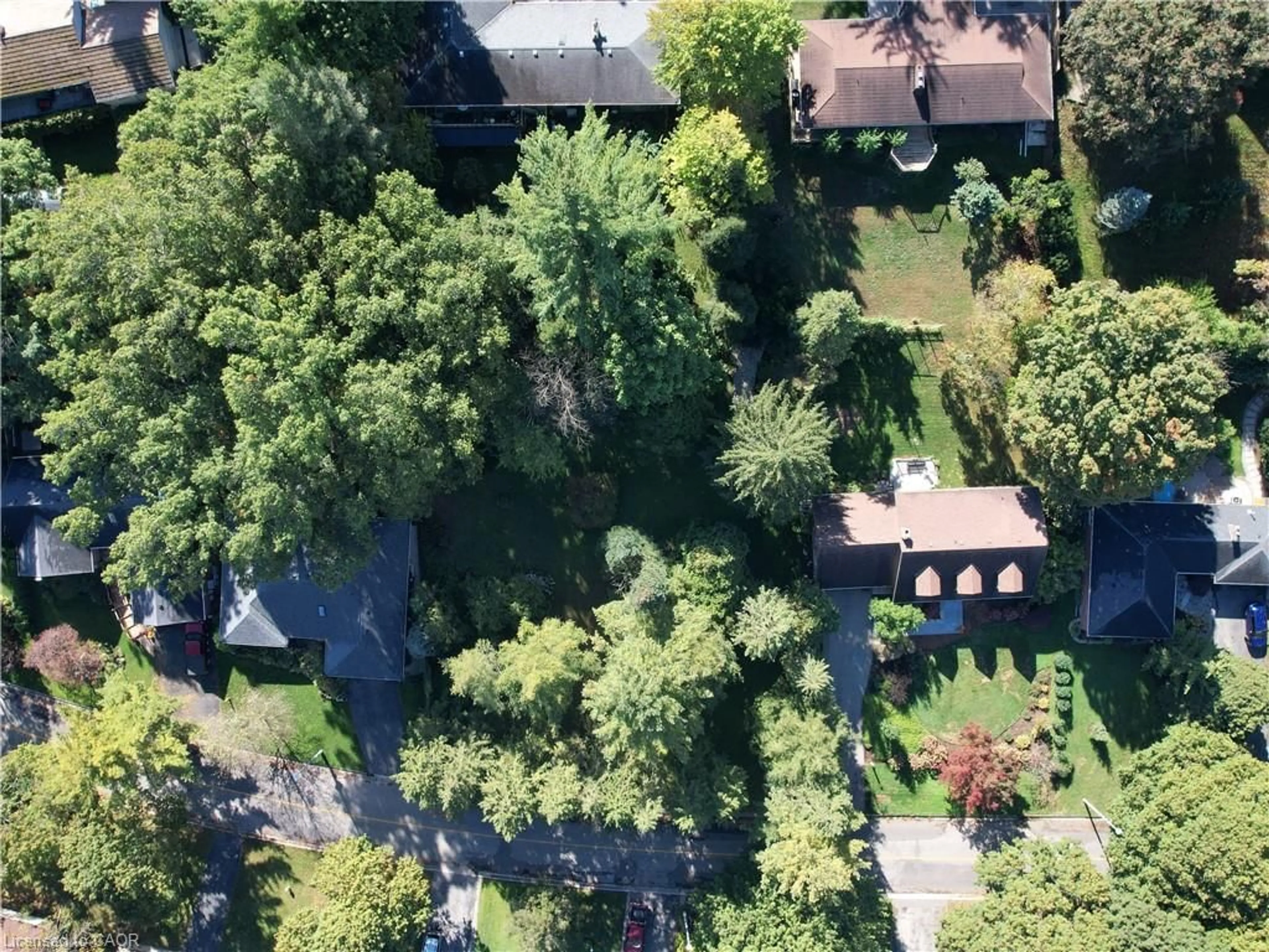 A pic from outside/outdoor area/front of a property/back of a property/a pic from drone, forest/trees view for PTLT2-PT1 Mccall Cres, Simcoe Ontario N3Y 2E1