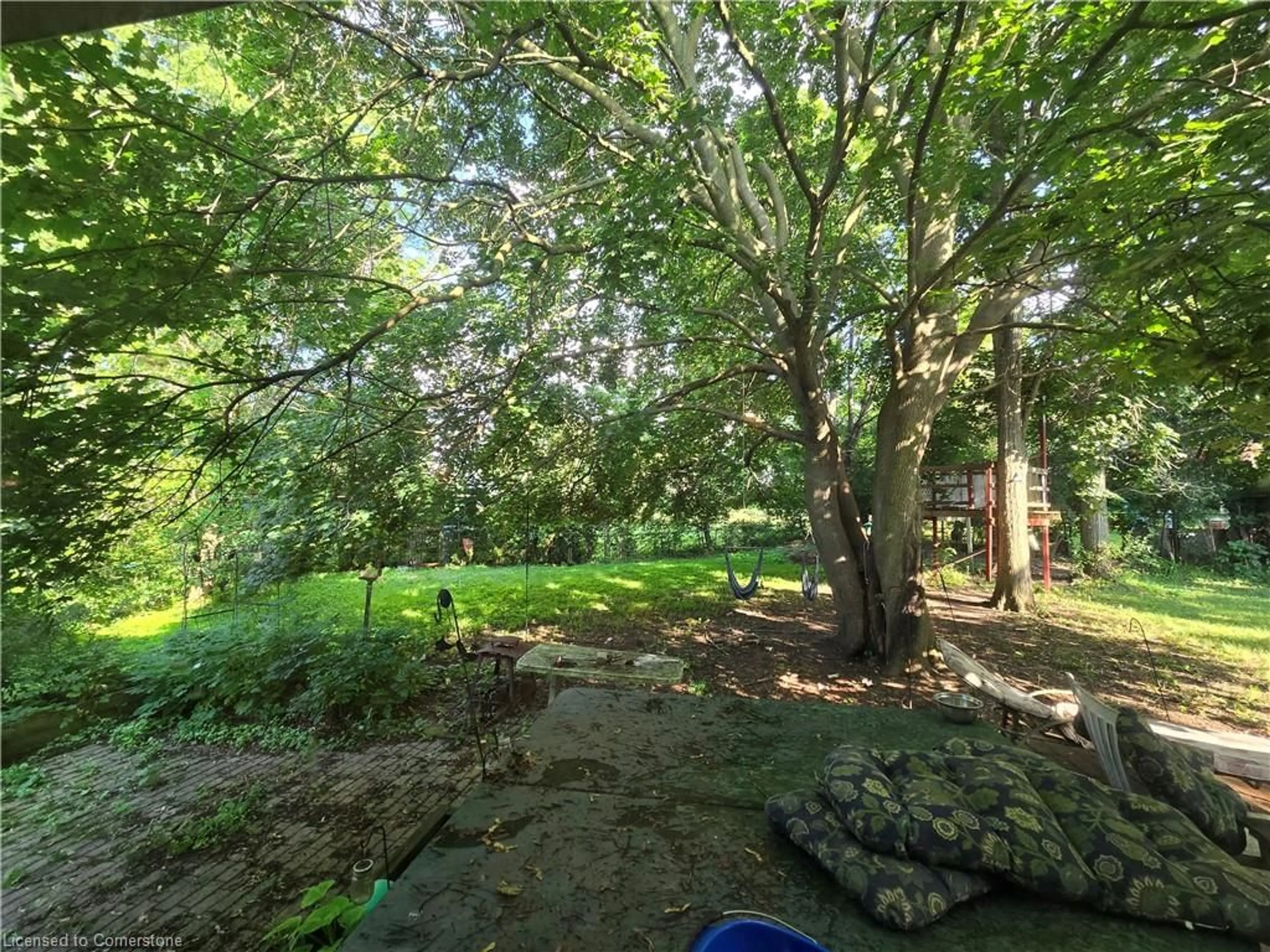 A pic from outside/outdoor area/front of a property/back of a property/a pic from drone, forest/trees view for 206 General Dr, Kitchener Ontario N2K 3S6
