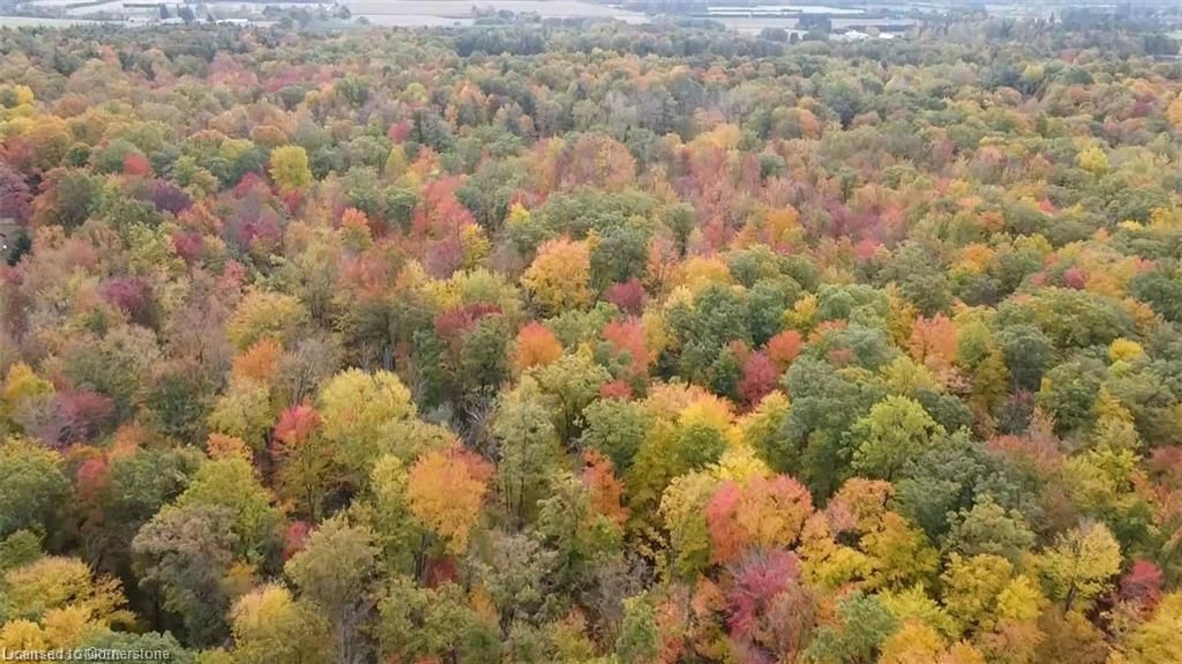 A pic from outside/outdoor area/front of a property/back of a property/a pic from drone, forest/trees view for PT LOT 20 7 Concession, Simcoe Ontario N3Y 4K1