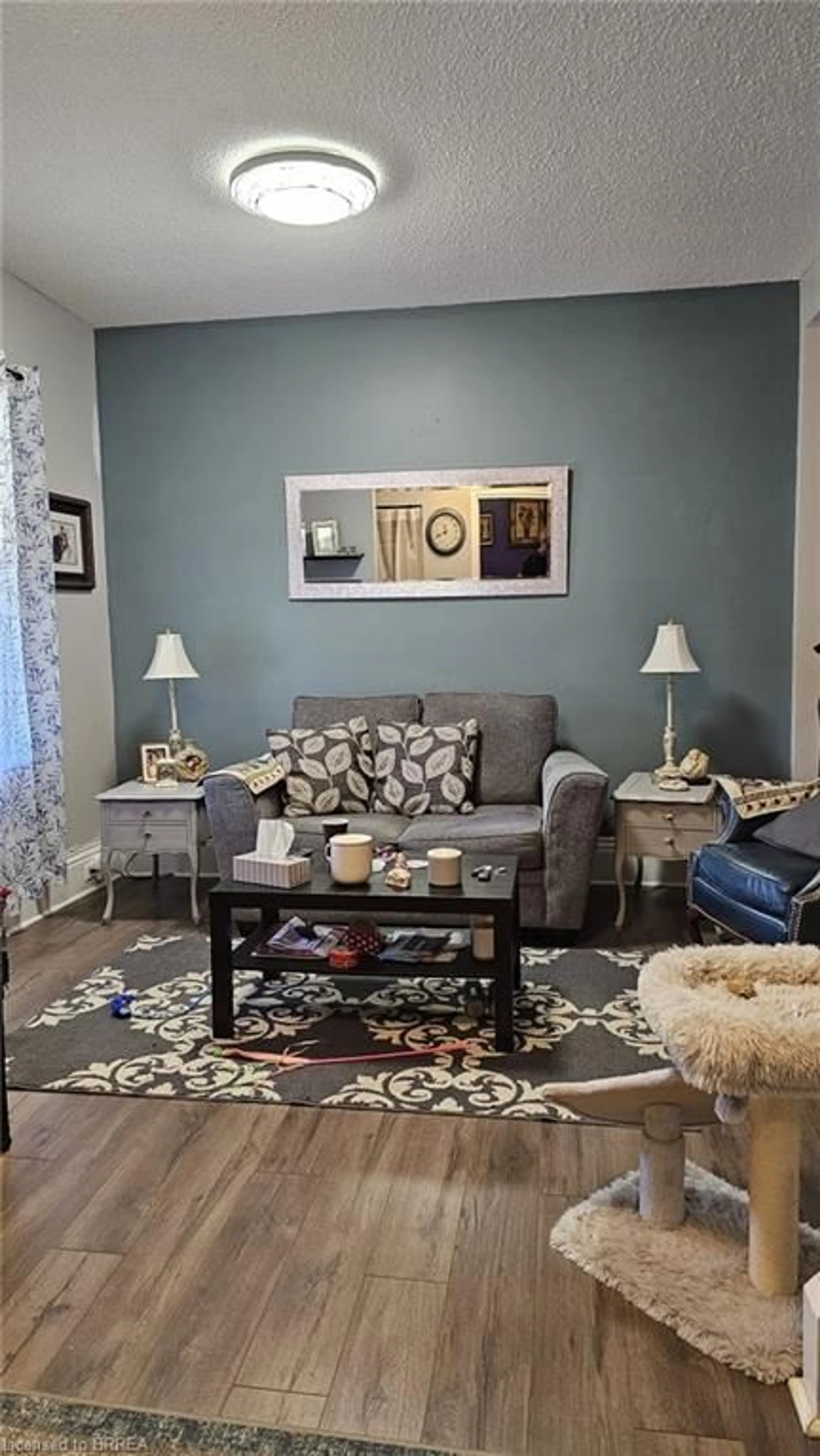 Living room with furniture, unknown for 314 Rawdon St, Brantford Ontario N3S 6H6