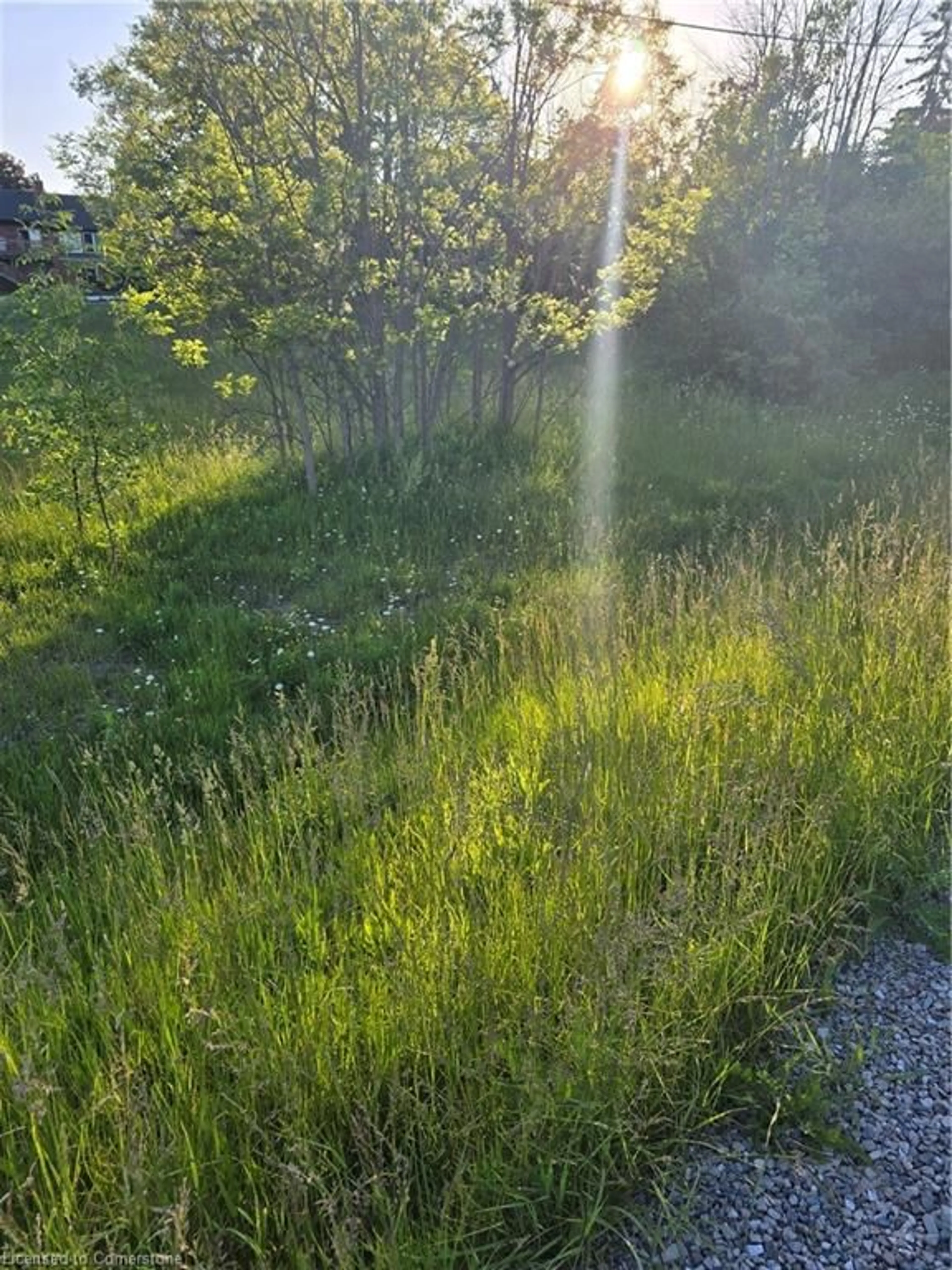 Blurry image for 1533 54 Hwy, Haldimand County Ontario N3W 1V7