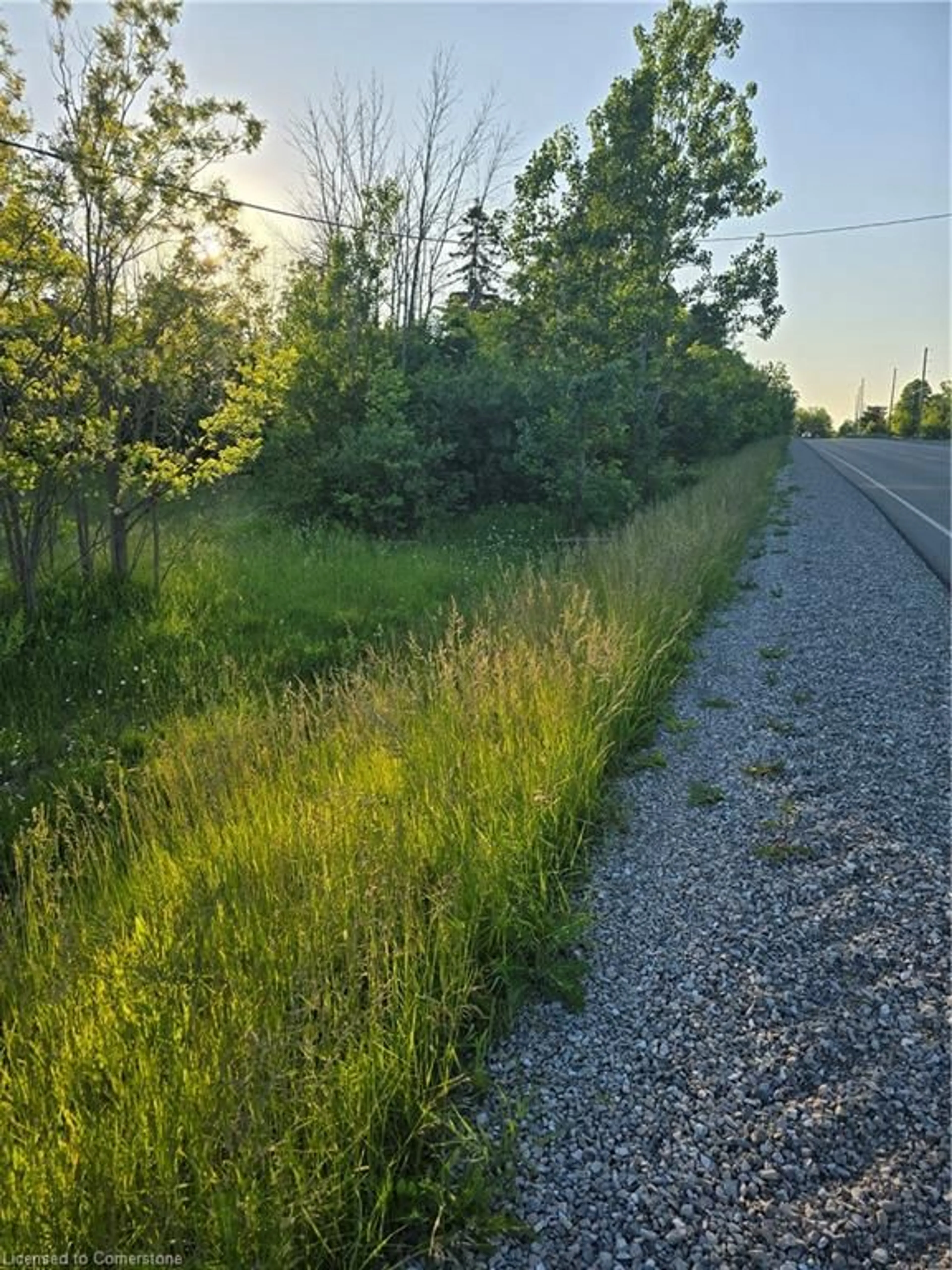 Blurry image for 1533 54 Hwy, Haldimand County Ontario N3W 1V7