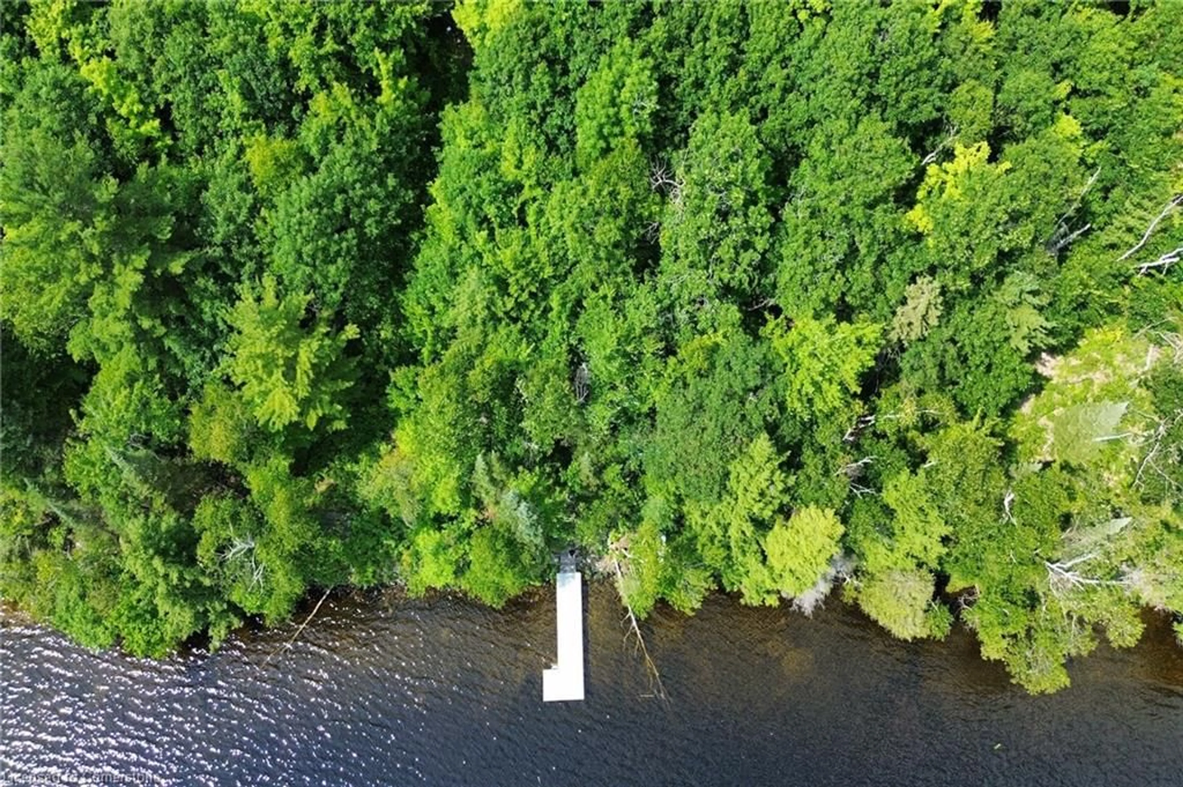 A pic from outside/outdoor area/front of a property/back of a property/a pic from drone, water/lake/river/ocean view for 11 Mountain View Rd, Massey Ontario P0P 1P0