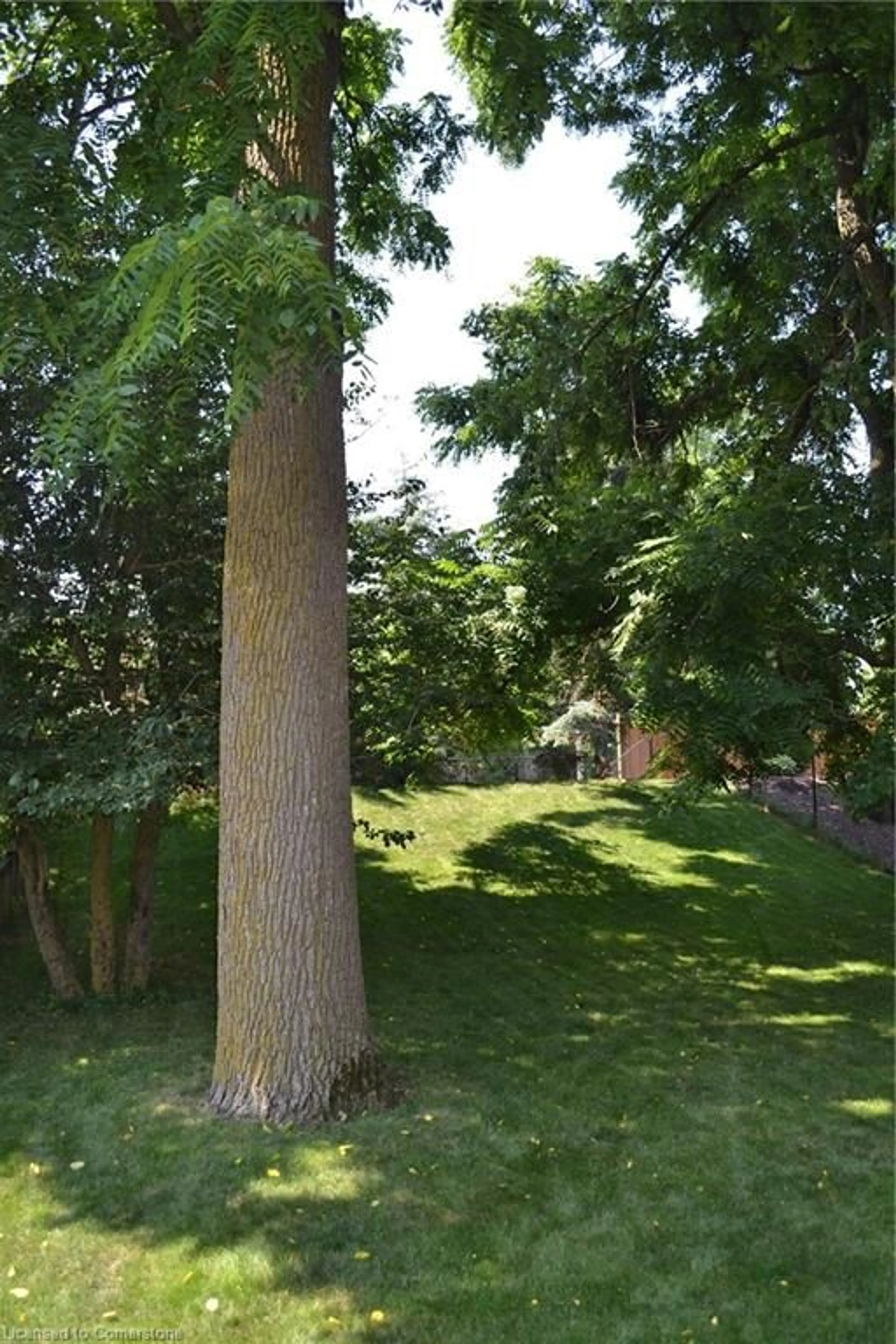 A pic from outside/outdoor area/front of a property/back of a property/a pic from drone, forest/trees view for 555 Brigantine Dr, Waterloo Ontario N2K 4A7