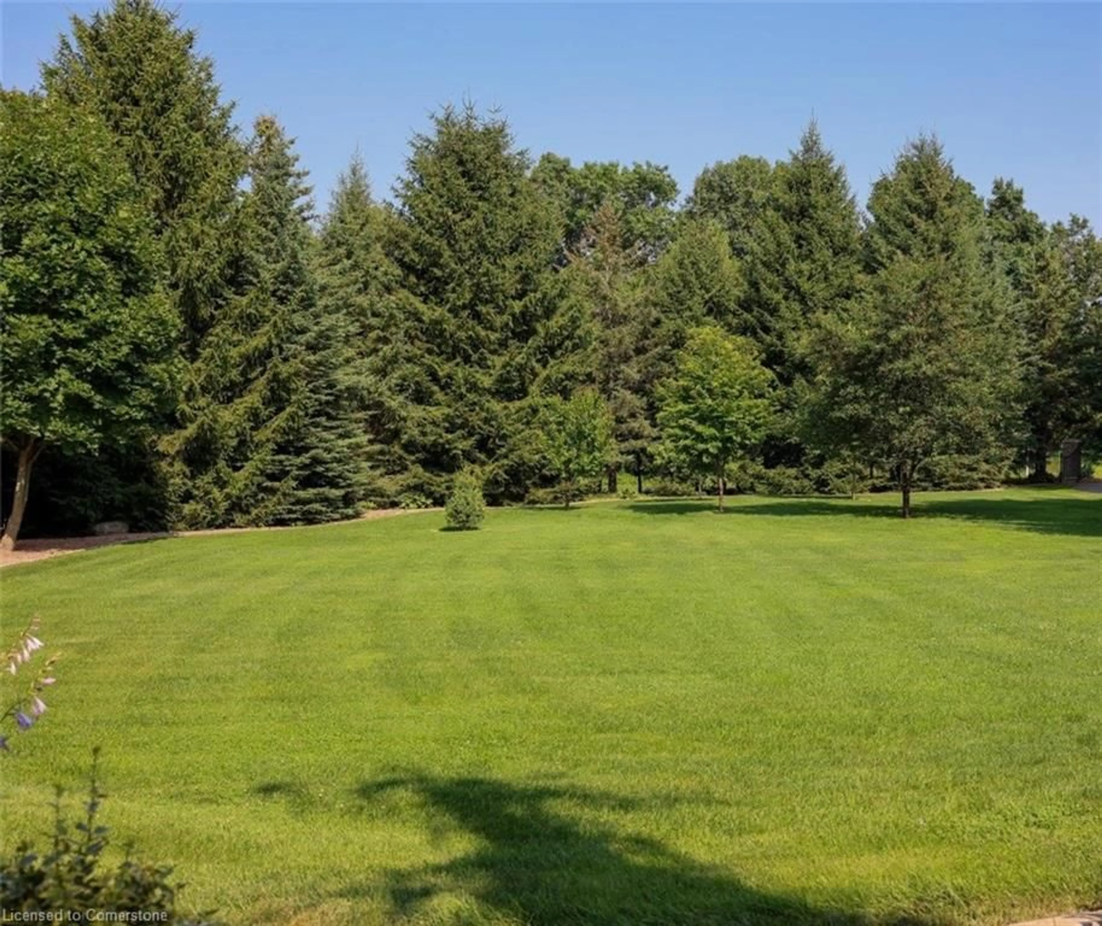 A pic from outside/outdoor area/front of a property/back of a property/a pic from drone, forest/trees view for 203 East River Rd, St. George Ontario N0E 1N0
