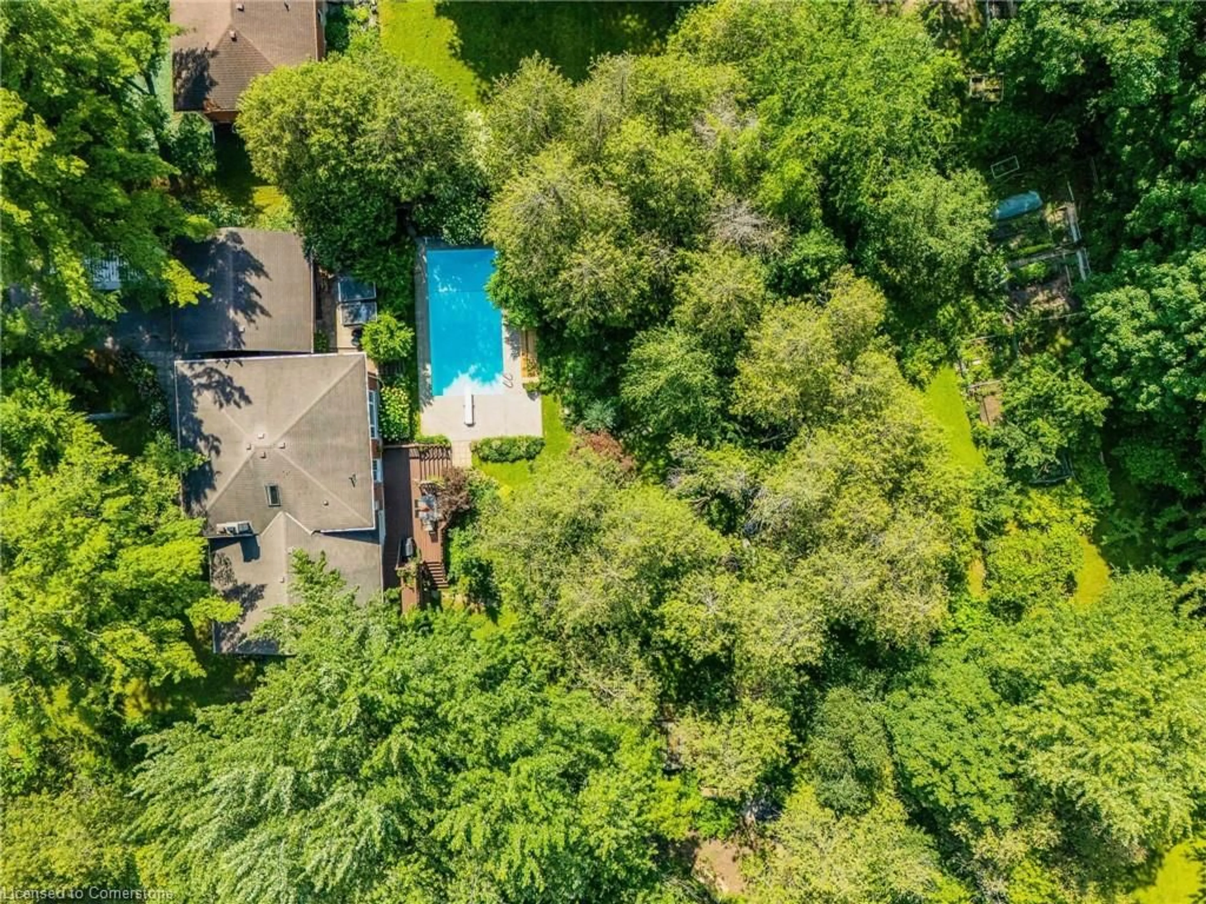 A pic from outside/outdoor area/front of a property/back of a property/a pic from drone, forest/trees view for 8 Sunbridge Cres, Kitchener Ontario N2K 1T3