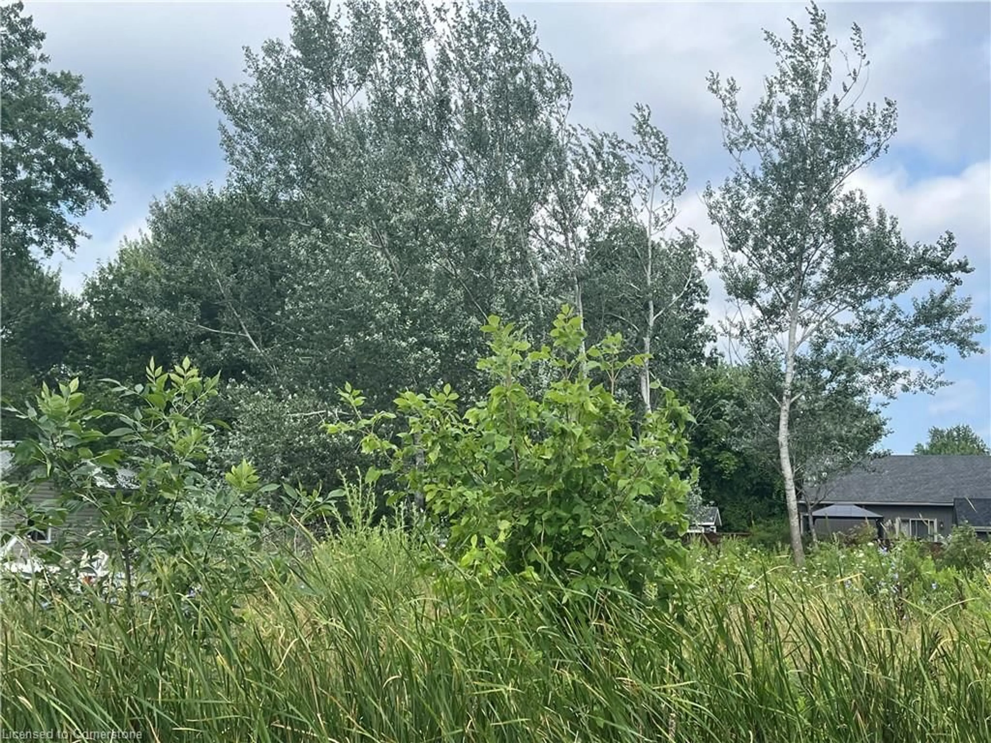 Unknown for 17 Dickhout Rd, Lowbanks Ontario N0A 1K0