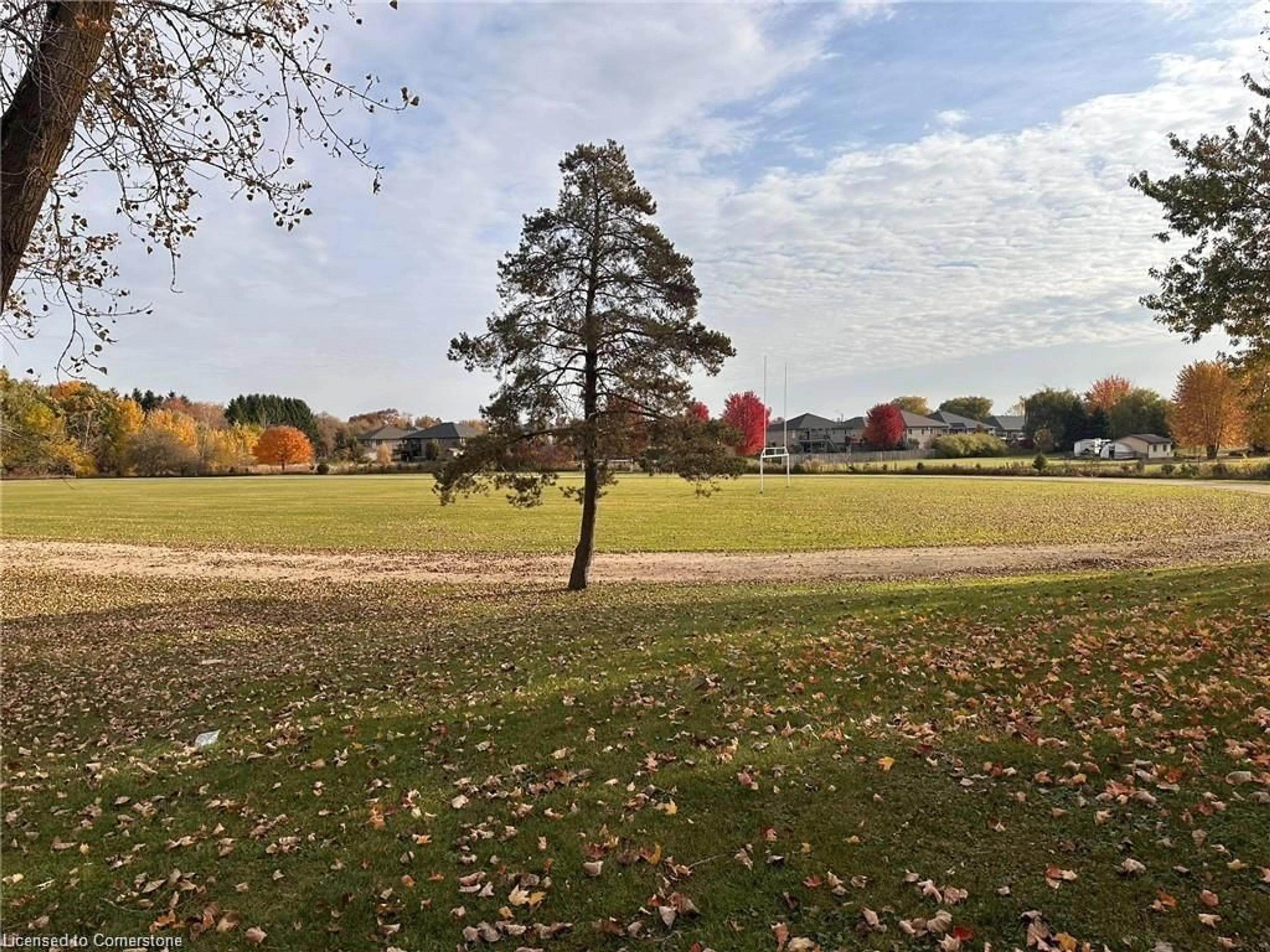 A pic from outside/outdoor area/front of a property/back of a property/a pic from drone, forest/trees view for 575 Raglan St St, Palmerston Ontario N0G 2P0