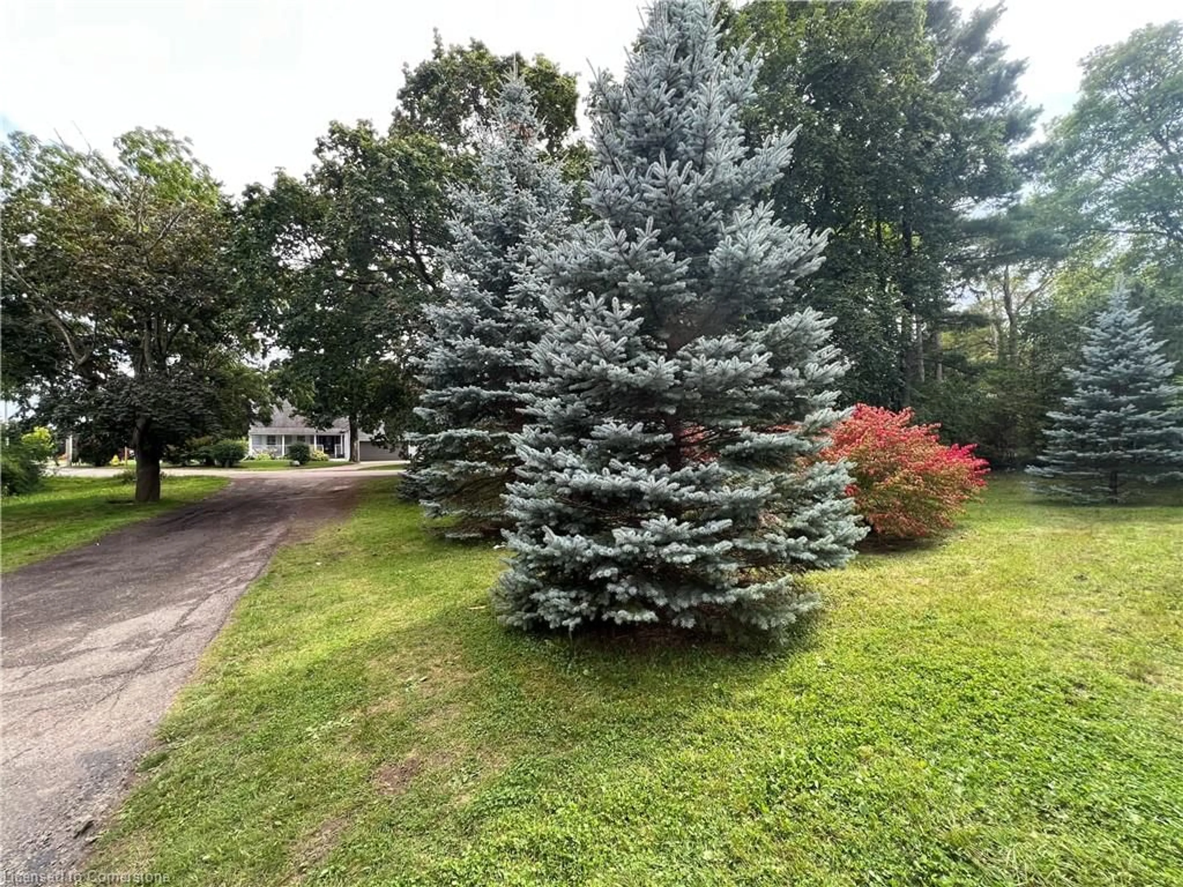 A pic from outside/outdoor area/front of a property/back of a property/a pic from drone, forest/trees view for 459 Blue Heron Ridge, Cambridge Ontario N3H 2M6