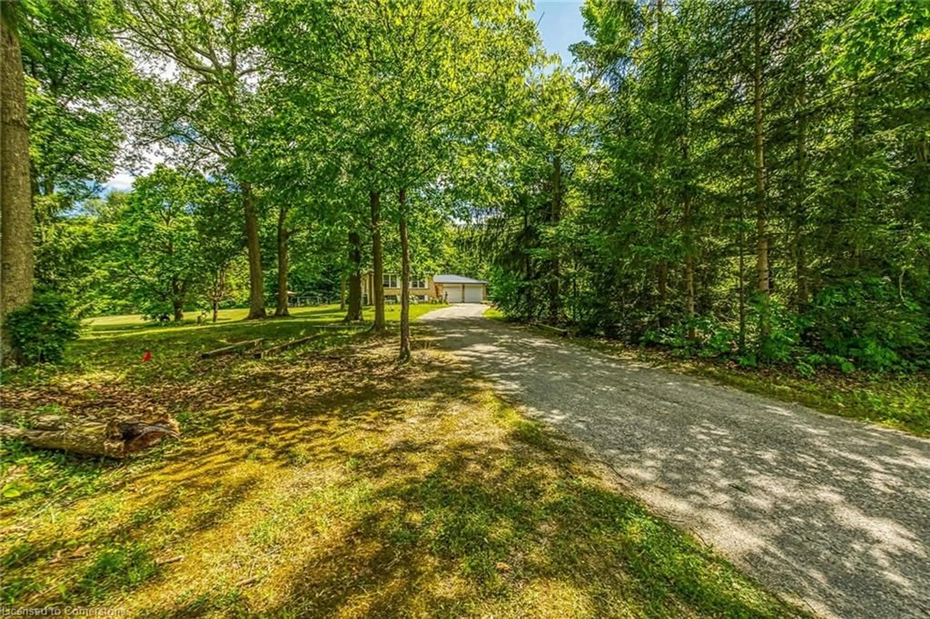 A pic from outside/outdoor area/front of a property/back of a property/a pic from drone, forest/trees view for 118 Concession 1 Rd, Canfield Ontario N0A 1C0