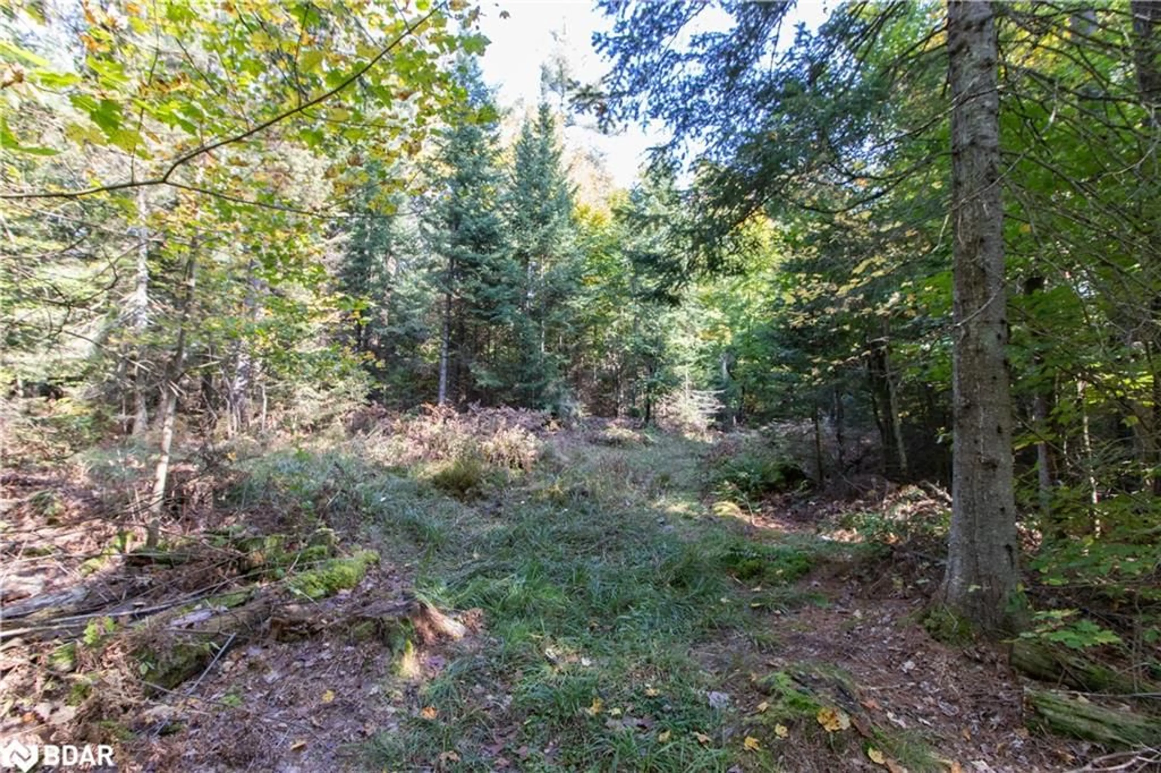 Unknown for 0 Lynx Lake Rd, Huntsville Ontario P1H 2J3