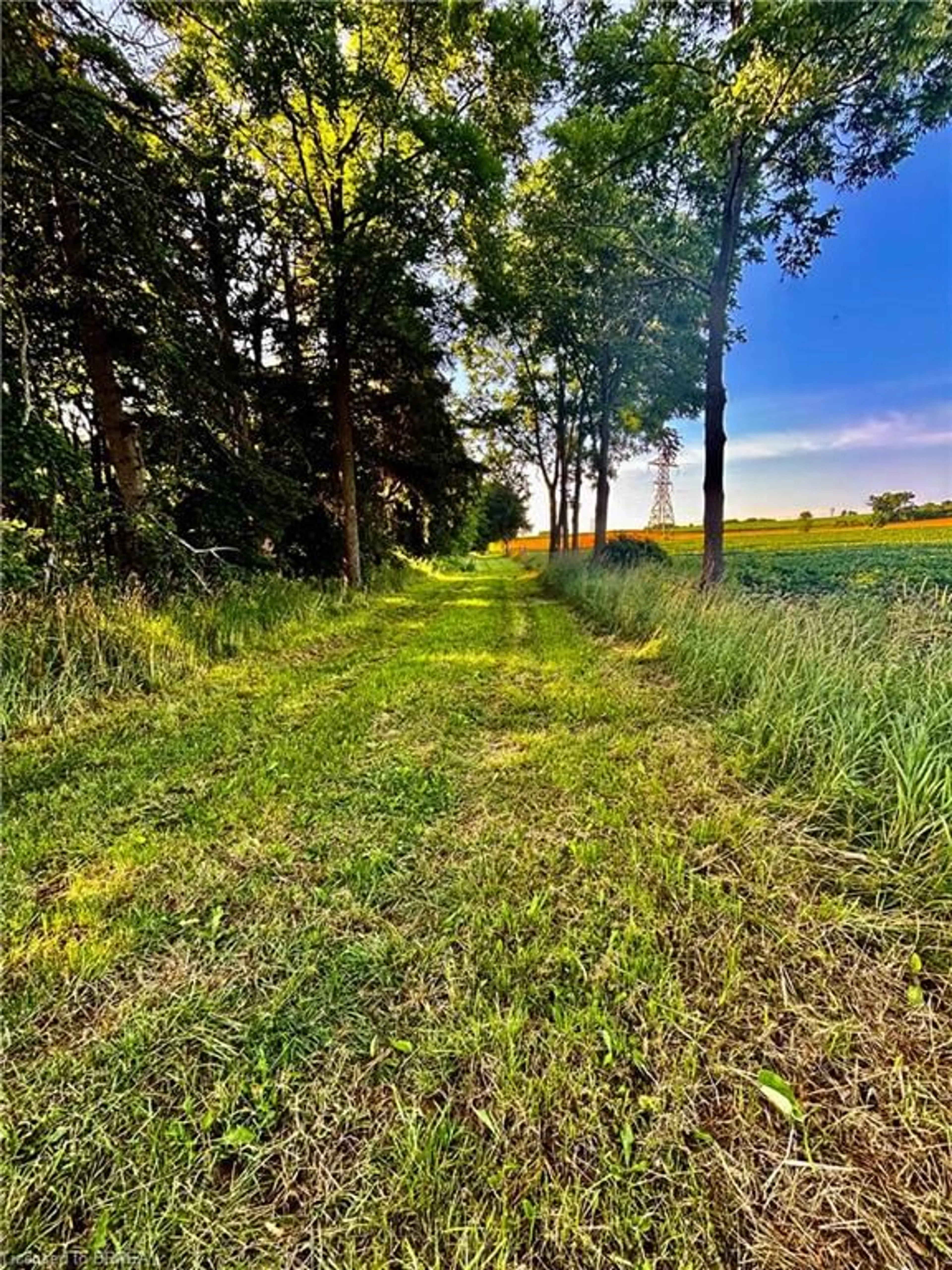 A pic from outside/outdoor area/front of a property/back of a property/a pic from drone, forest/trees view for 81 Howell Rd, St. George Ontario N0E 1N0