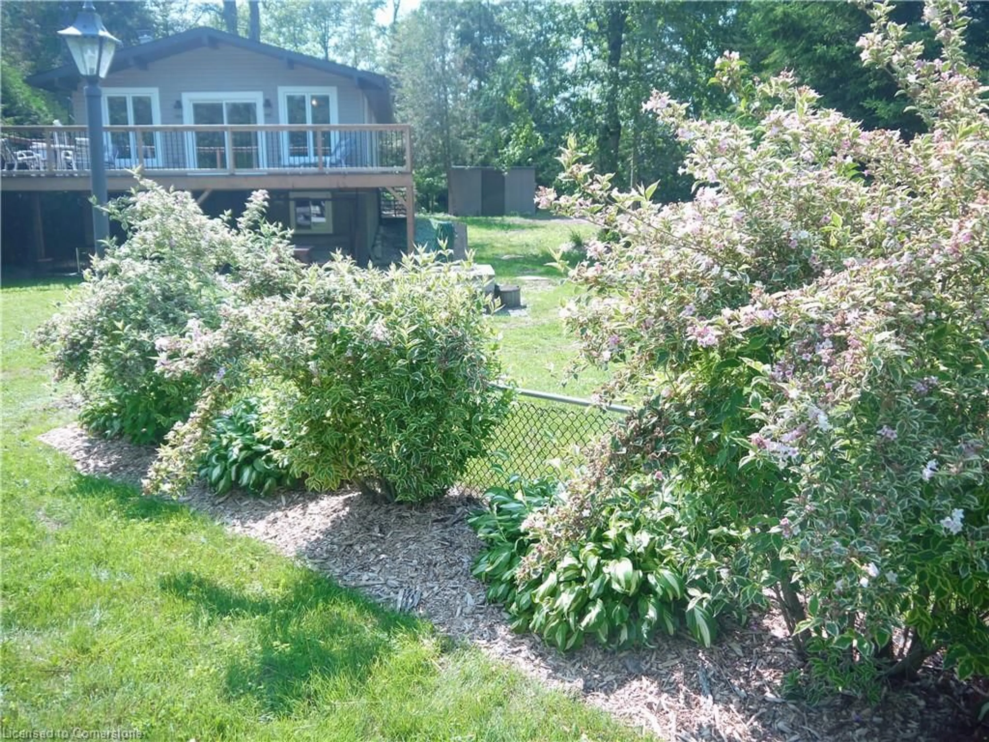 A pic from outside/outdoor area/front of a property/back of a property/a pic from drone, forest/trees view for 313 Spruce Cres, Ripley Ontario N0G 2R0