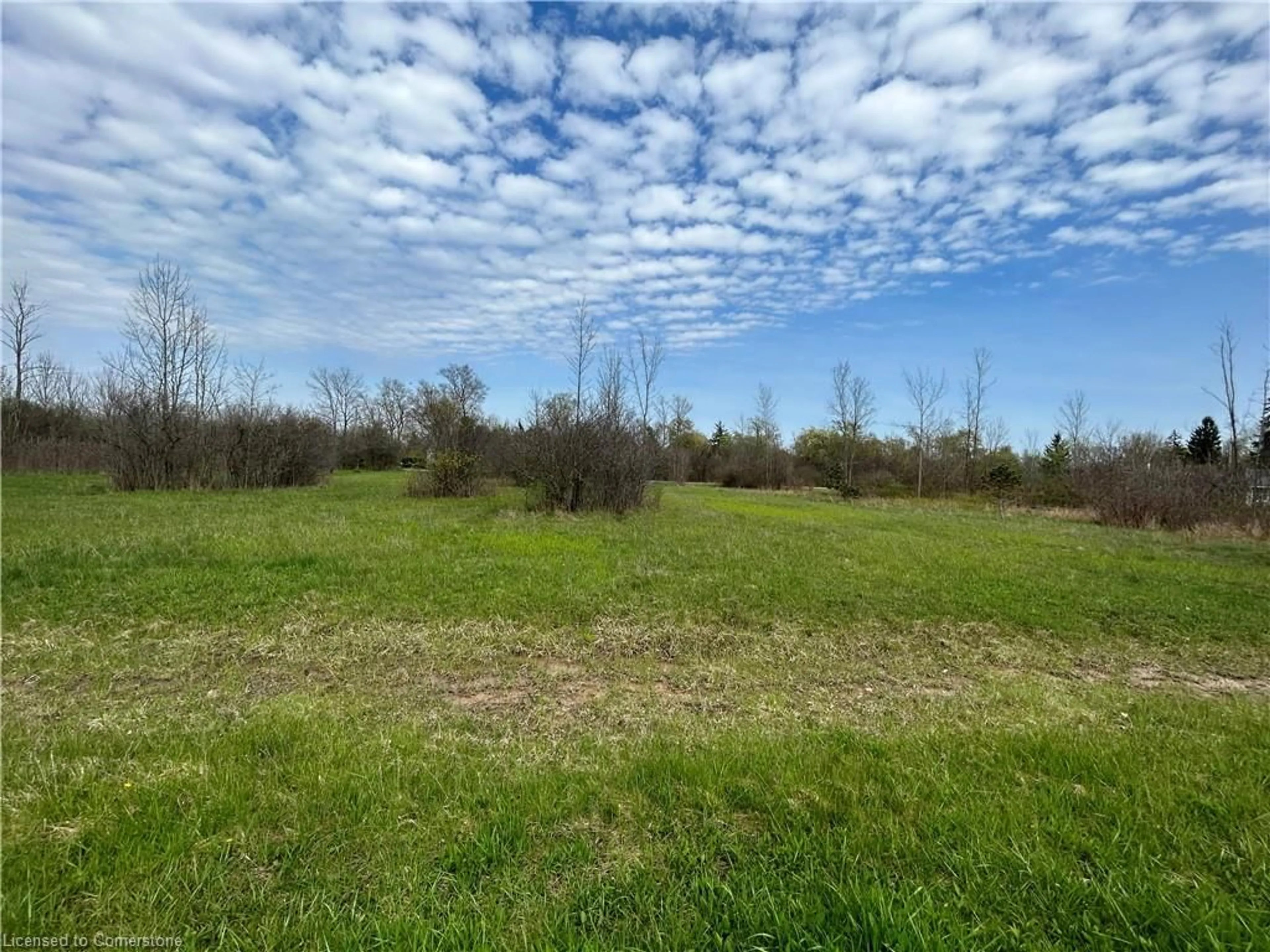 A pic from outside/outdoor area/front of a property/back of a property/a pic from drone, forest/trees view for 00 Richmond Avenue, Fort Erie Ontario L2A 5M4