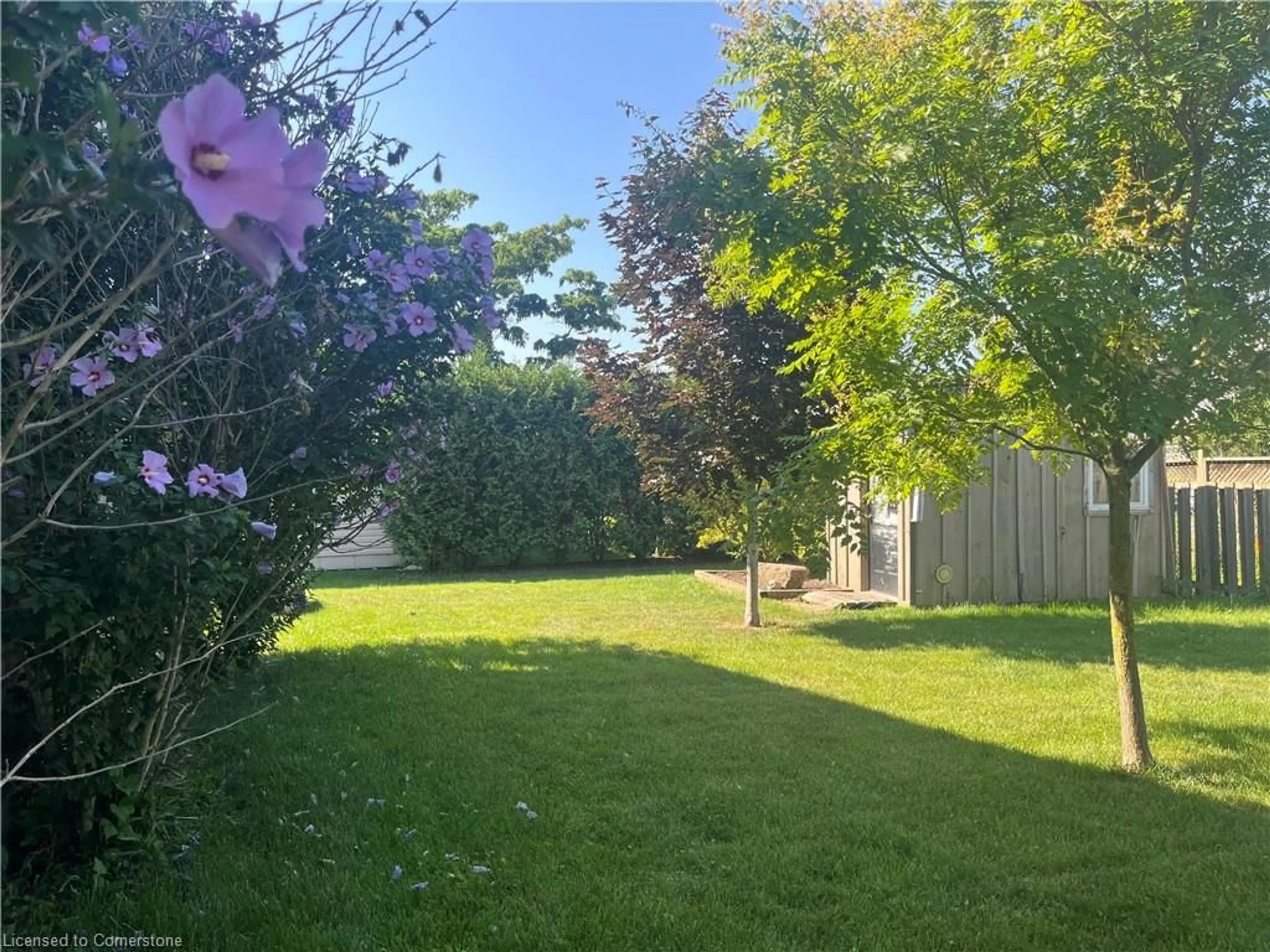 A pic from outside/outdoor area/front of a property/back of a property/a pic from drone, forest/trees view for 17 Mapleview Dr, Hagersville Ontario N0A 1H0