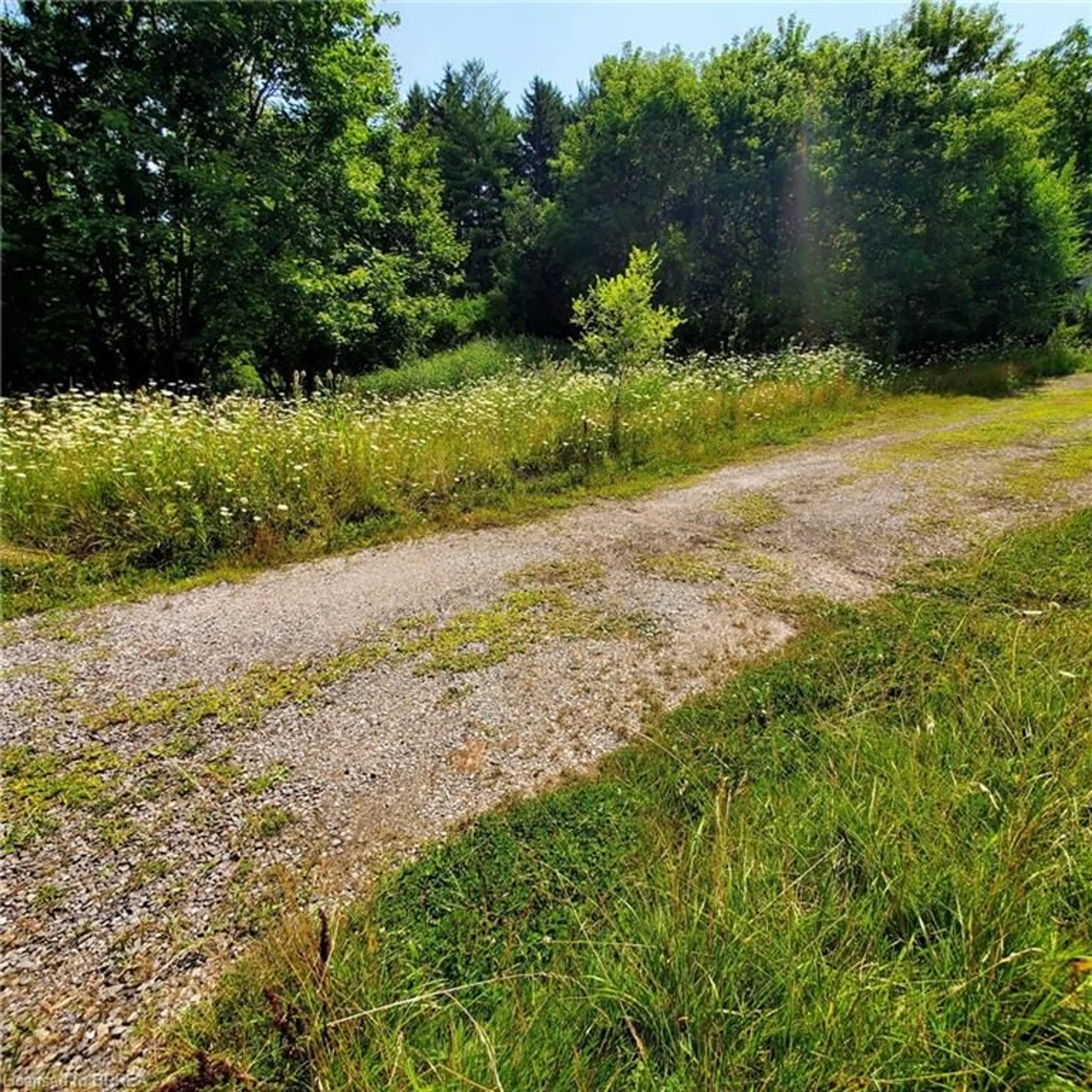 A pic from outside/outdoor area/front of a property/back of a property/a pic from drone, forest/trees view for 1110 Wilson St, Ancaster Ontario L8S 4K5