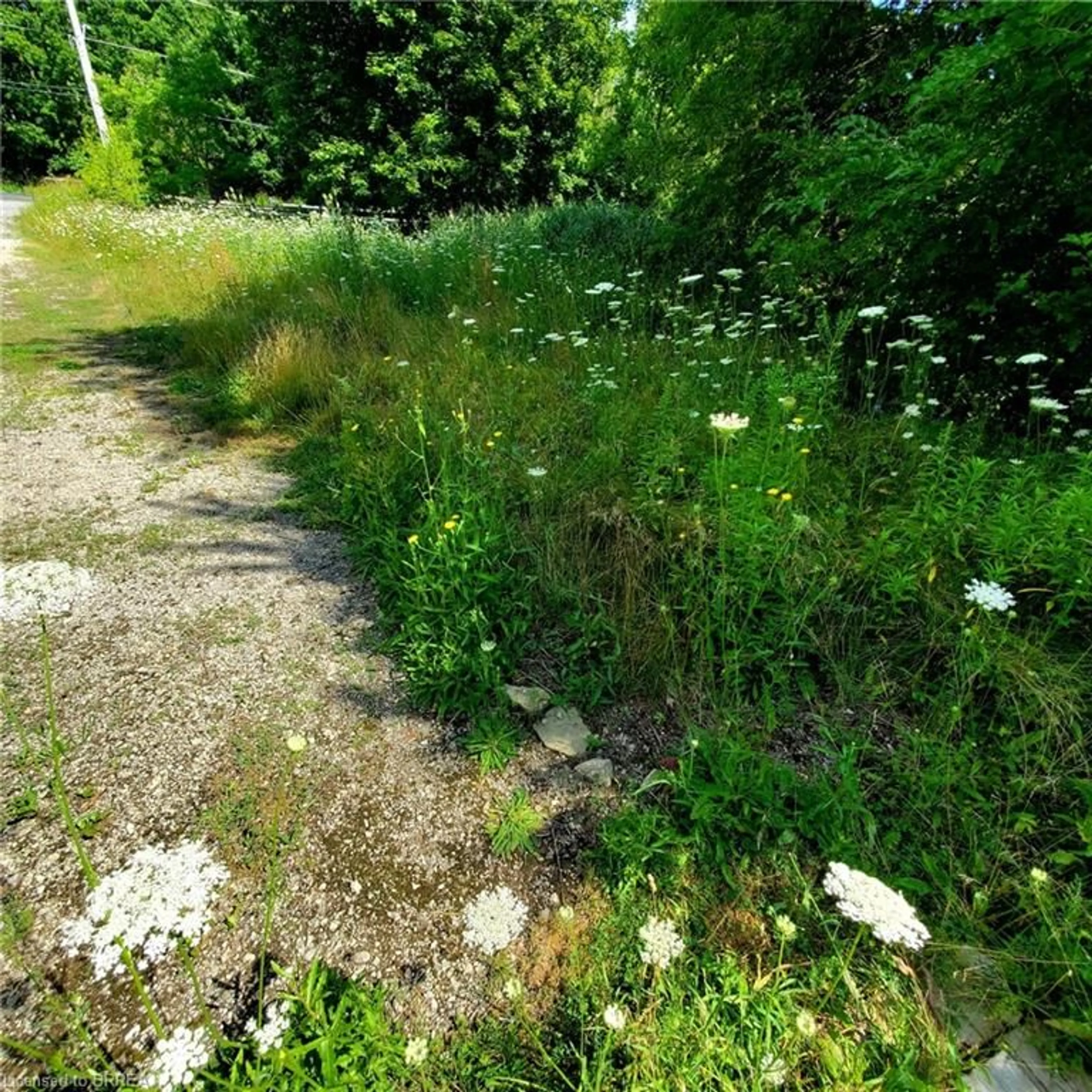 Blurry image for 1110 Wilson St, Ancaster Ontario L8S 4K5