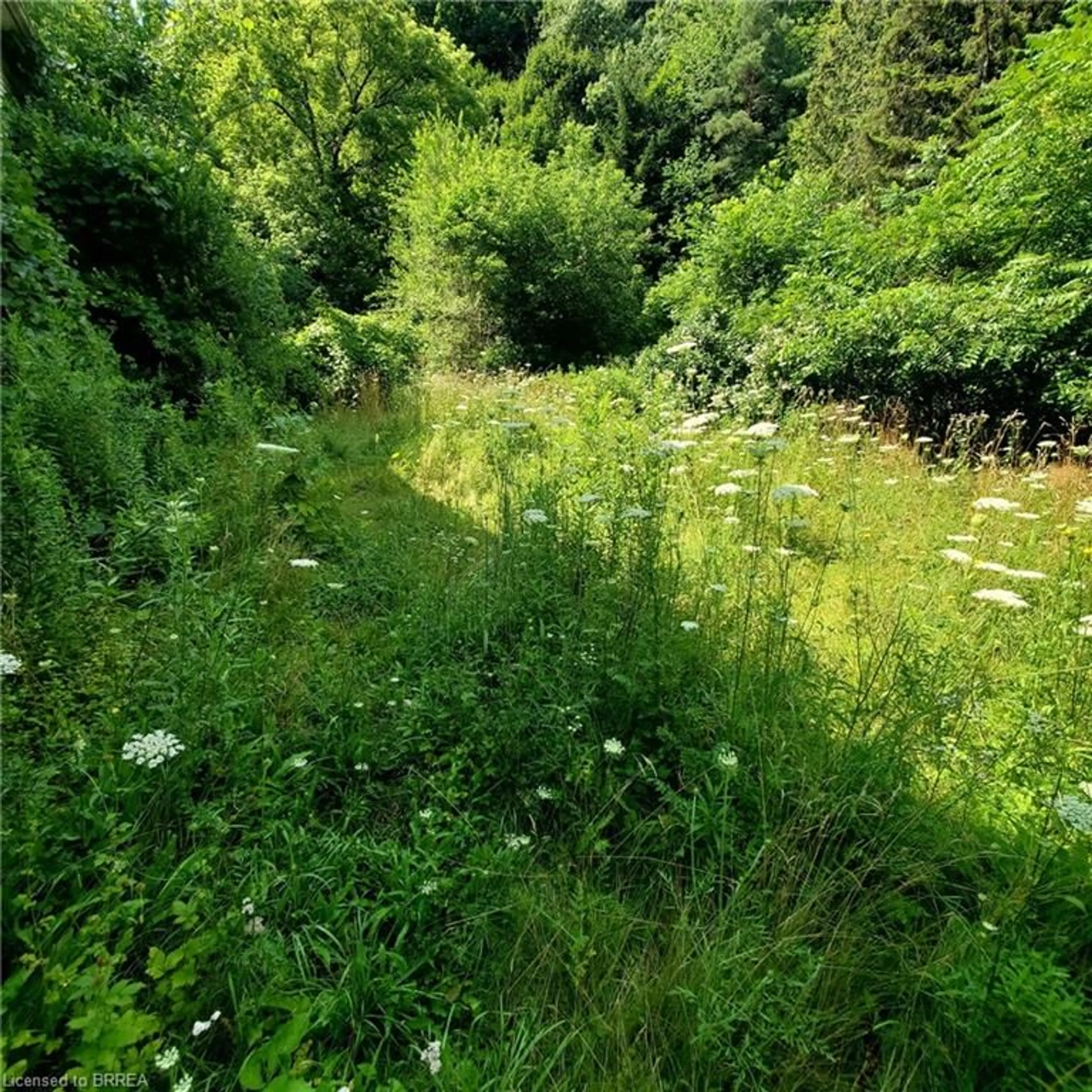A pic from outside/outdoor area/front of a property/back of a property/a pic from drone, forest/trees view for 1110 Wilson St, Ancaster Ontario L8S 4K5