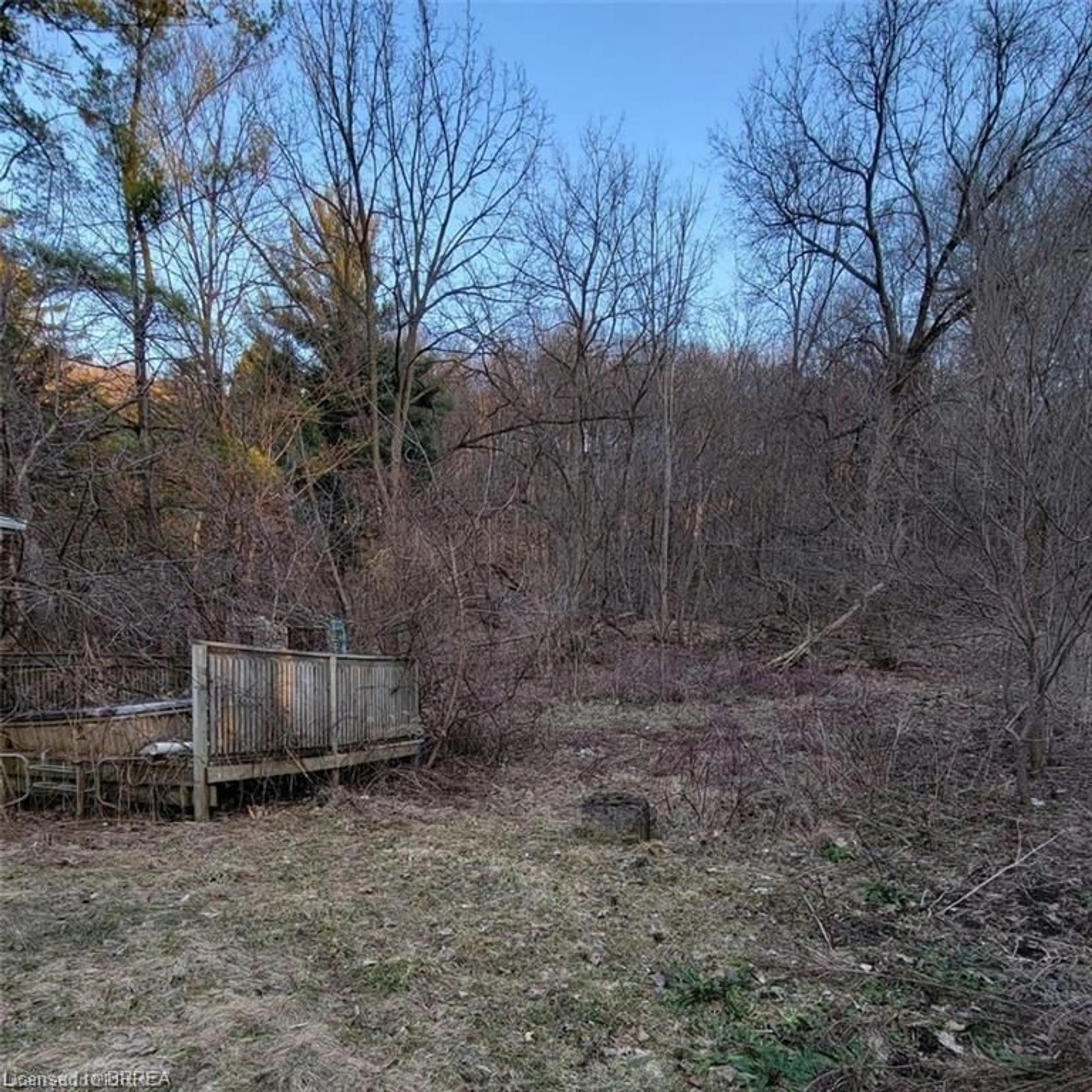 A pic from outside/outdoor area/front of a property/back of a property/a pic from drone, forest/trees view for 1110 Wilson St, Ancaster Ontario L8S 4K5