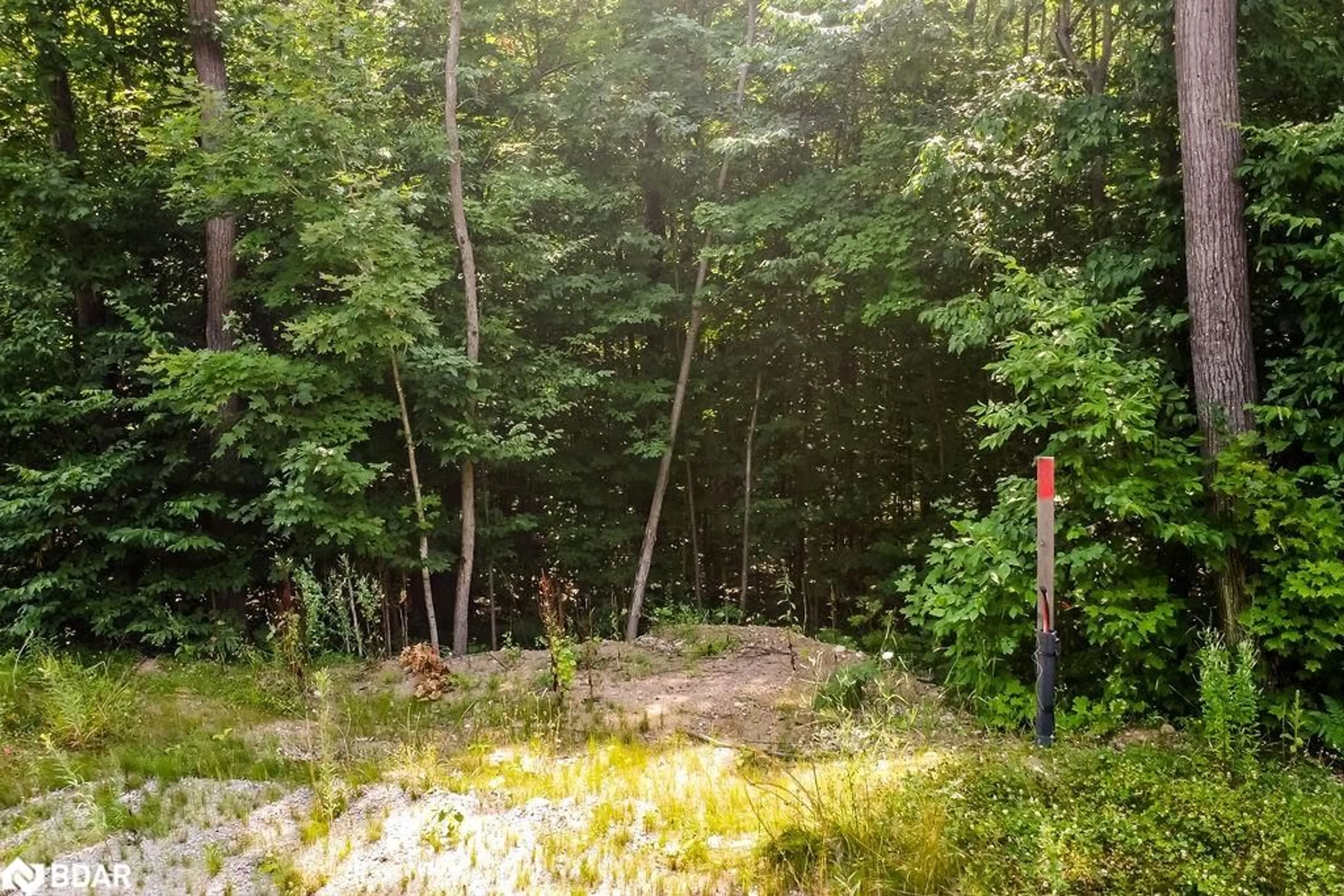 Patio, forest/trees view for LT 45 Explorers Landng, Tiny Ontario L9M 0C2