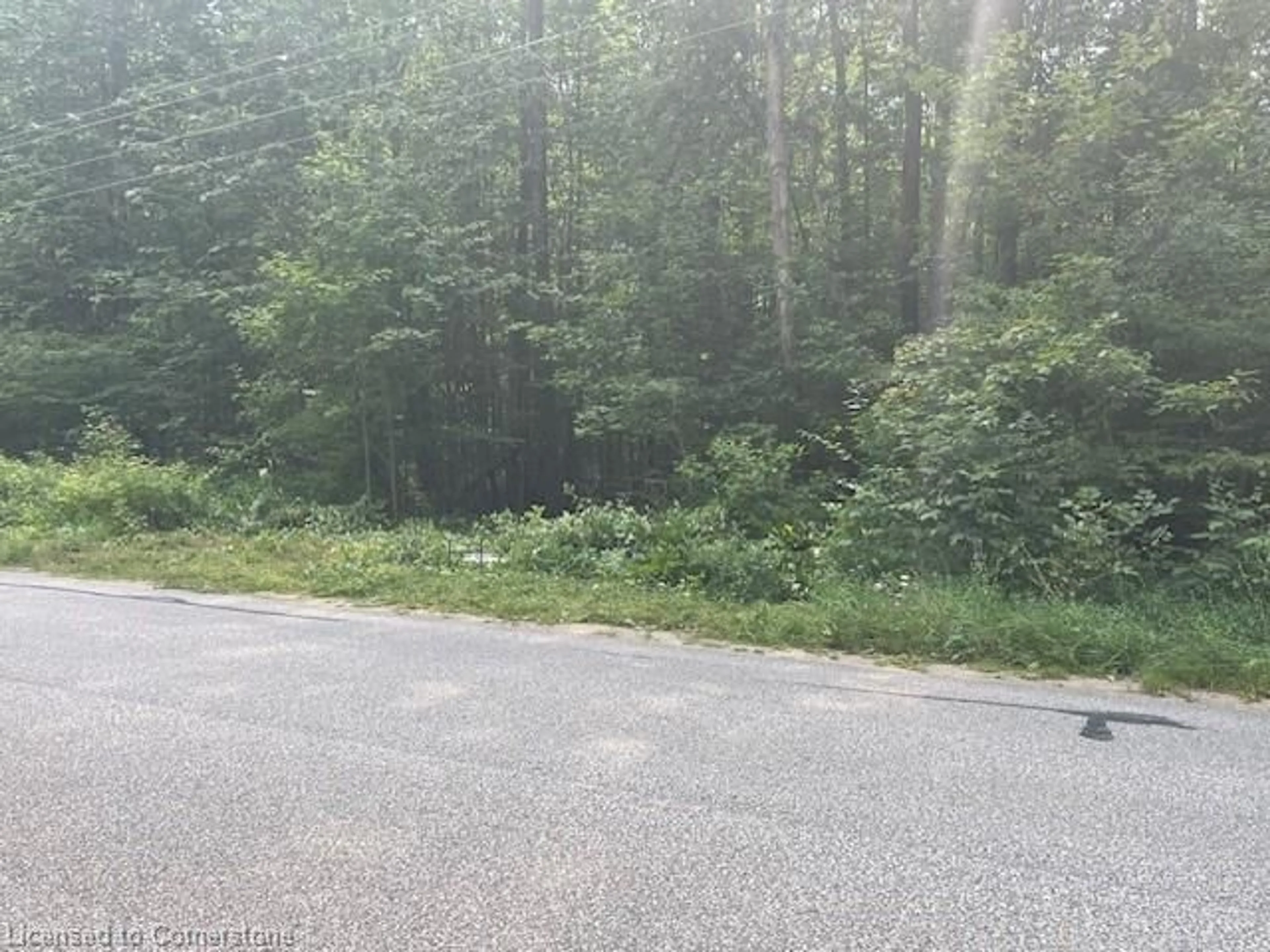 Blurry image for PT LT44 24th Side Rd, Chatsworth Ontario N0H 1R0