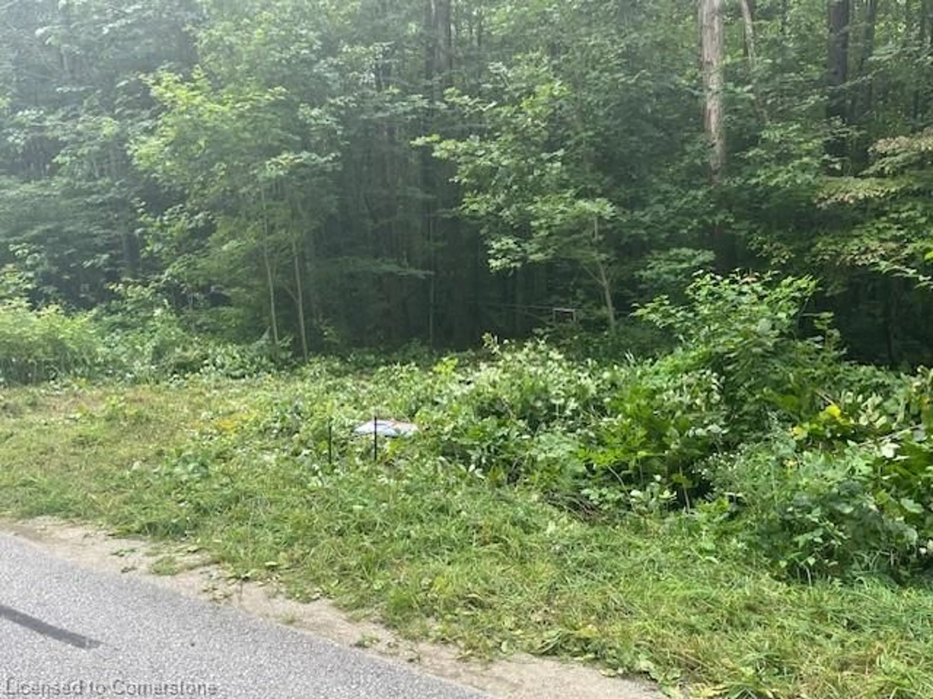 Blurry image for PT LT44 24th Side Rd, Chatsworth Ontario N0H 1R0