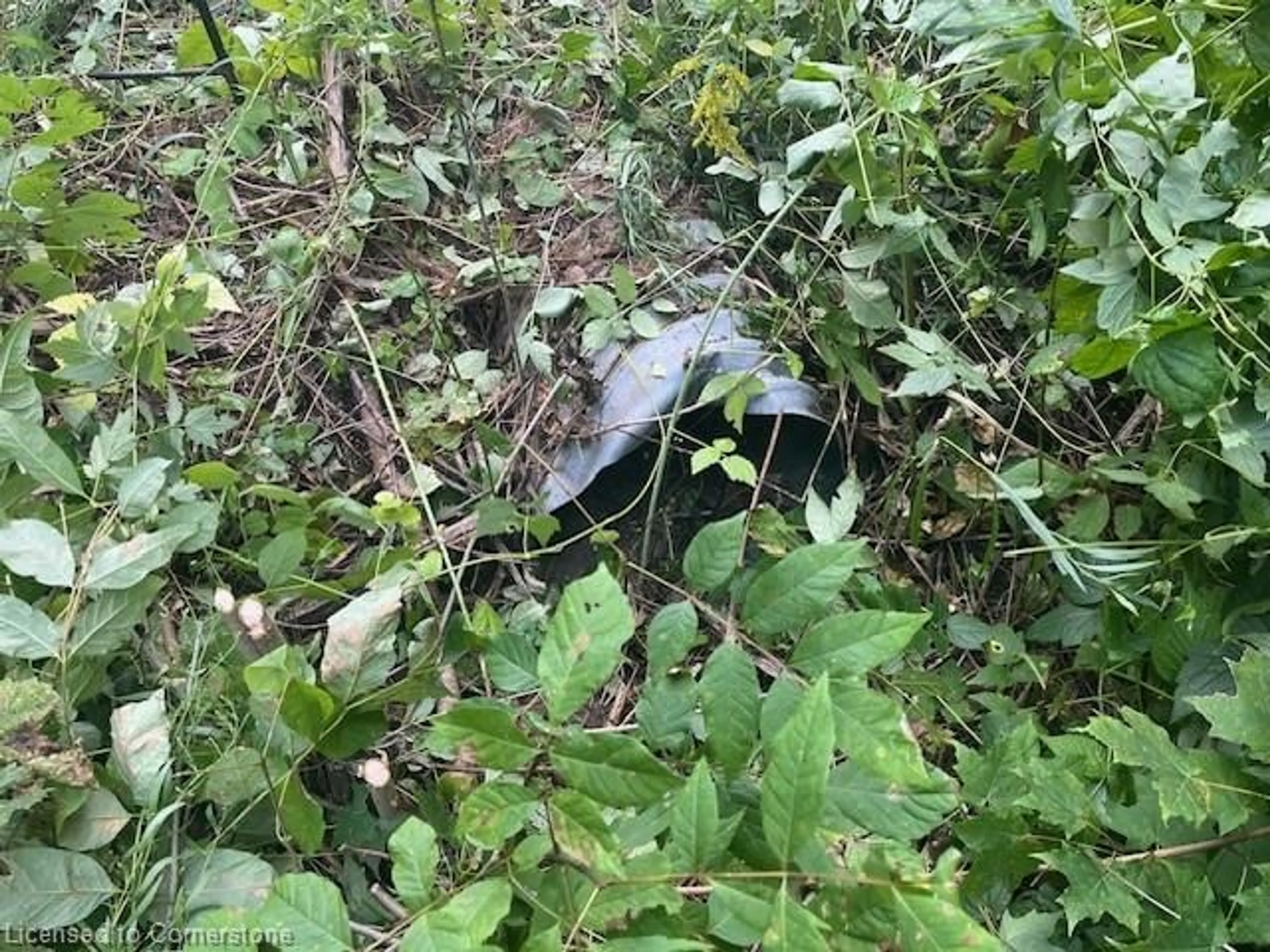 Unknown for PT LT44 24th Side Rd, Chatsworth Ontario N0H 1R0