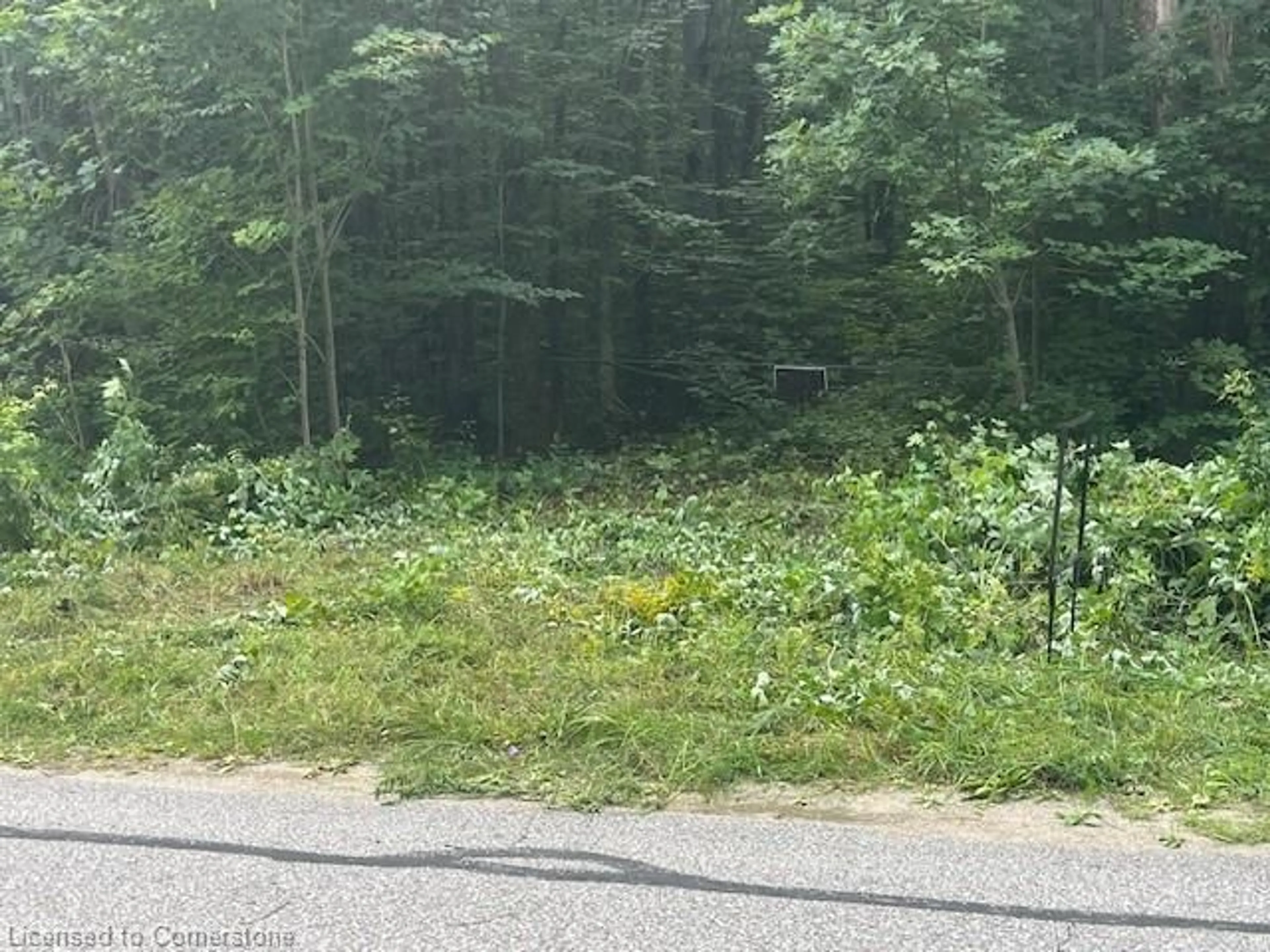 Blurry image for PT LT44 24th Side Rd, Chatsworth Ontario N0H 1R0