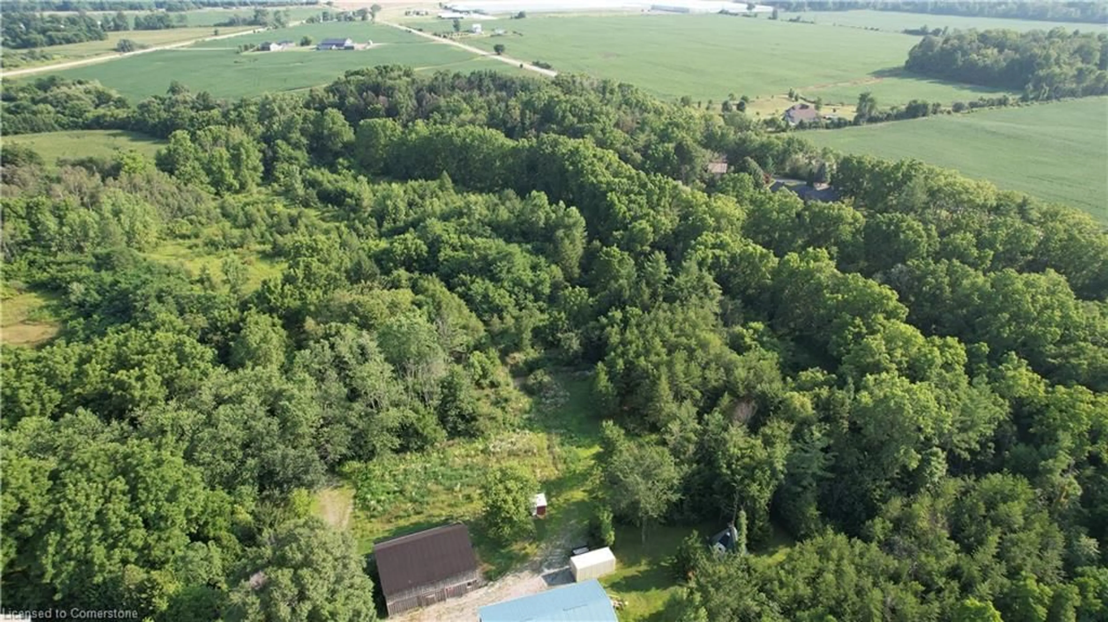 A pic from outside/outdoor area/front of a property/back of a property/a pic from drone, forest/trees view for 58 Conc 6 Conc, Jarvis Ontario N0A 1J0