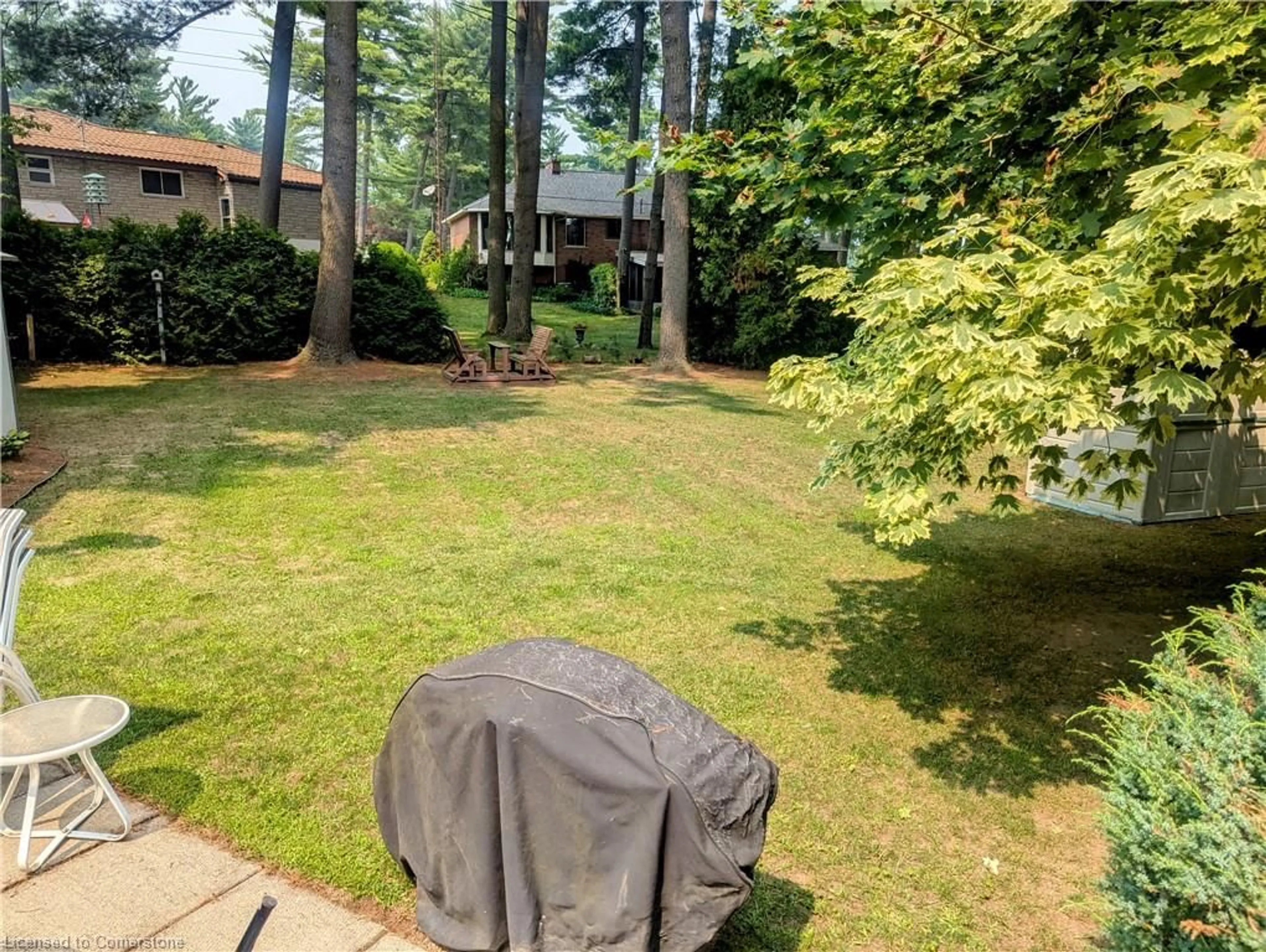 Patio, forest/trees view for 55 Wilson Ave, Delhi Ontario N4B 1B7