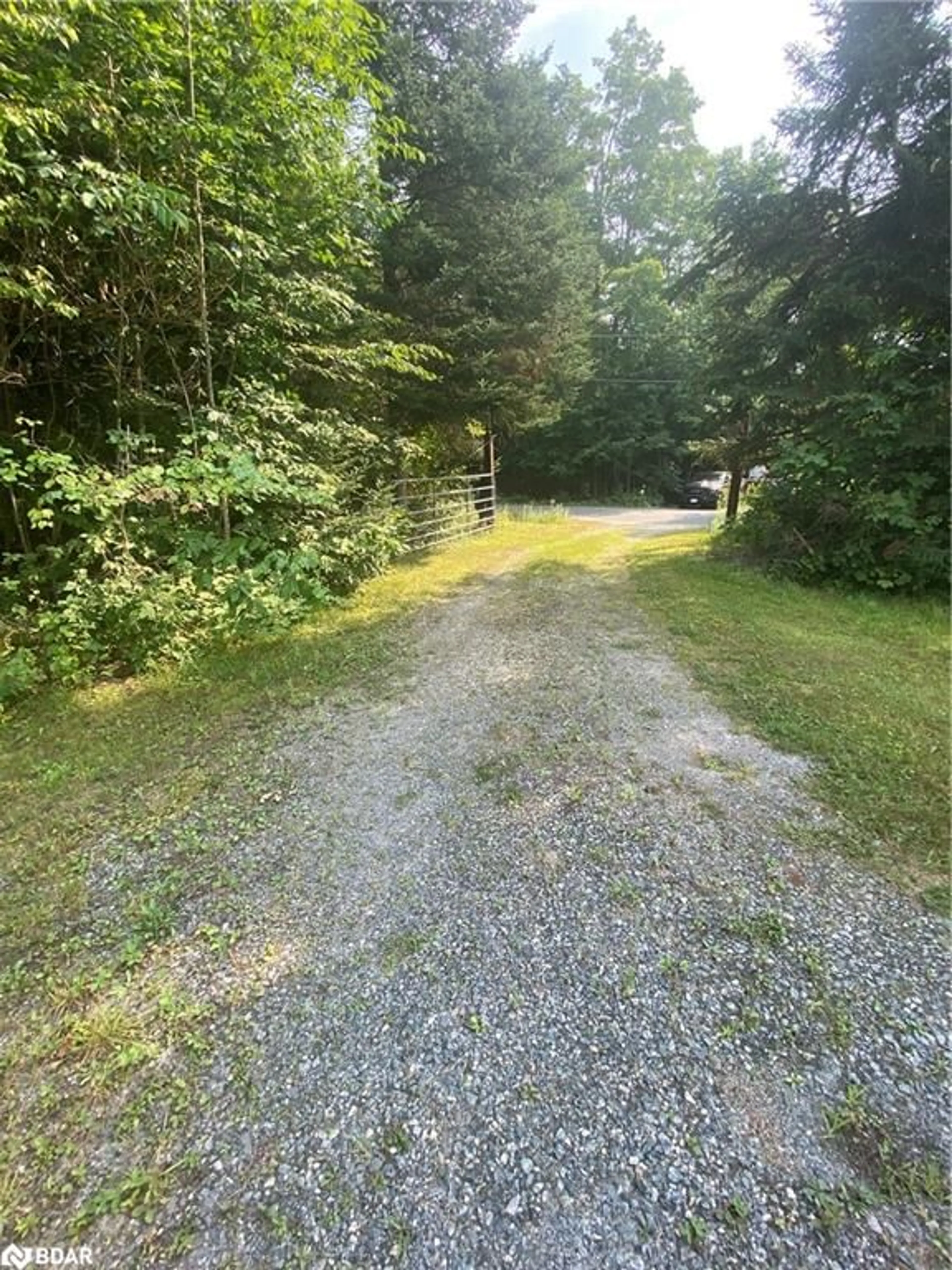 A pic from outside/outdoor area/front of a property/back of a property/a pic from drone, forest/trees view for 1104 Hawn Rd, Uffington Ontario P1L 1X1