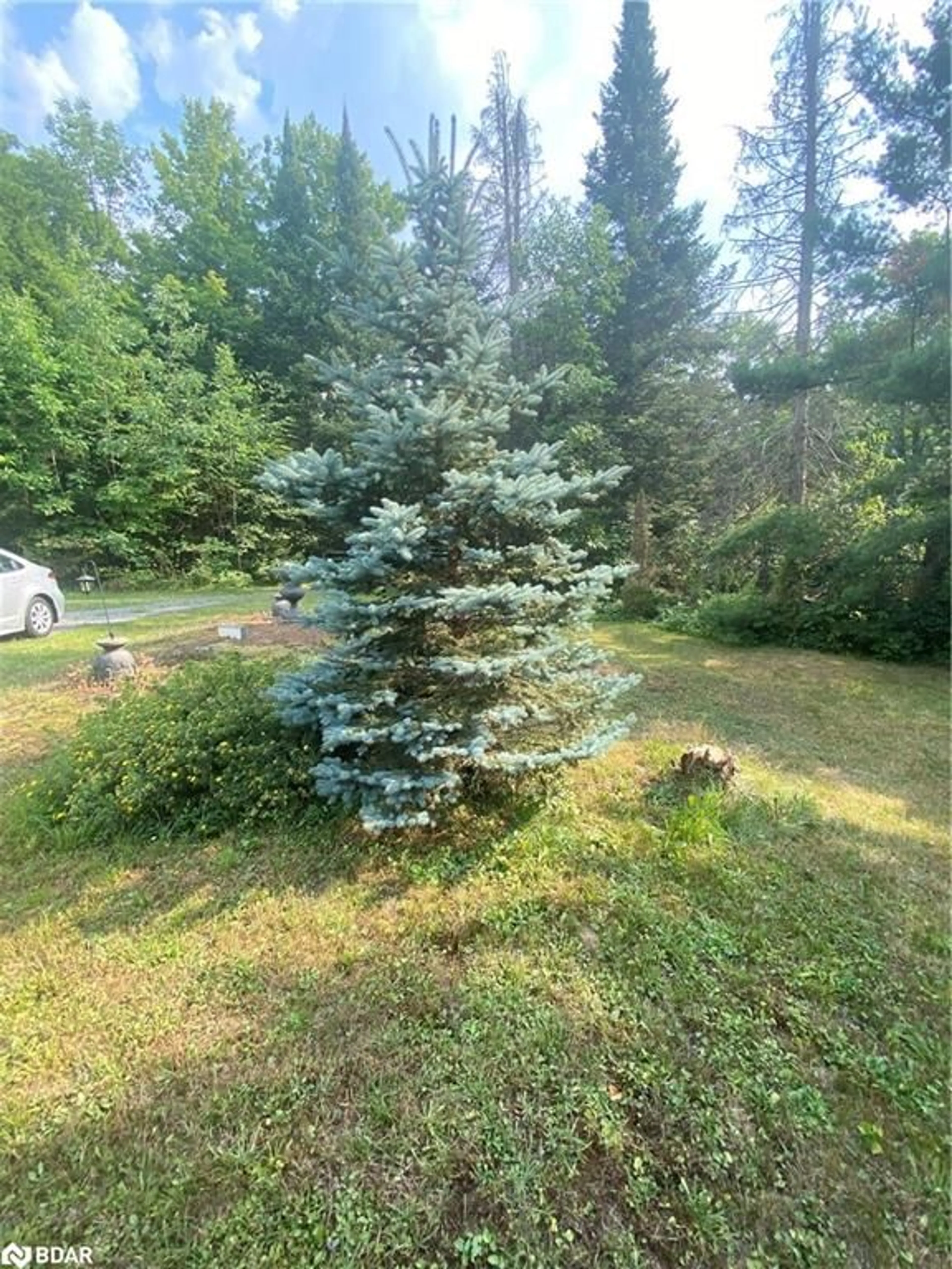A pic from outside/outdoor area/front of a property/back of a property/a pic from drone, forest/trees view for 1104 Hawn Rd, Uffington Ontario P1L 1X1