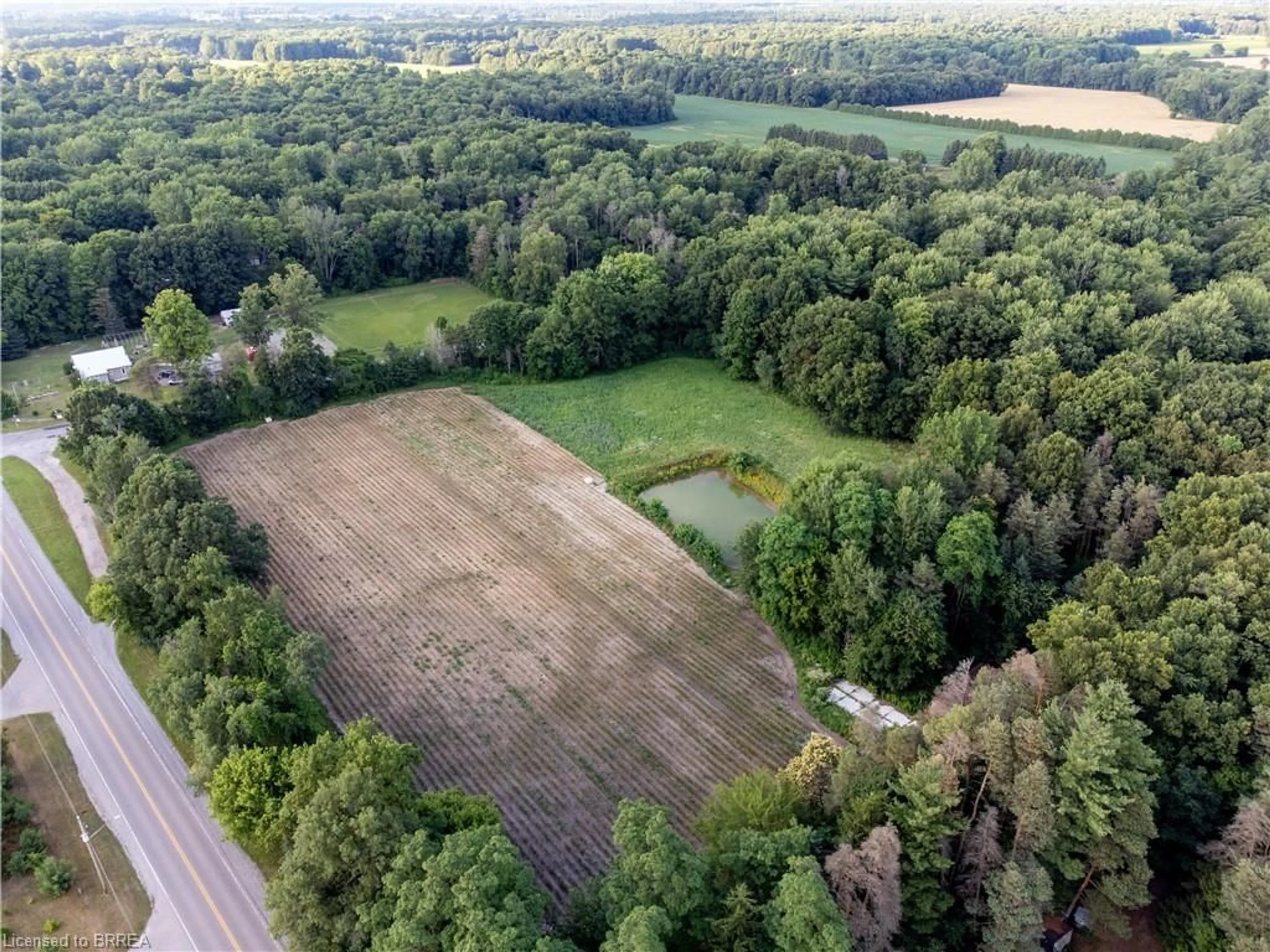 A pic from outside/outdoor area/front of a property/back of a property/a pic from drone, forest/trees view for 2328 Nixon Rd #3, Simcoe Ontario N3Y 4K6