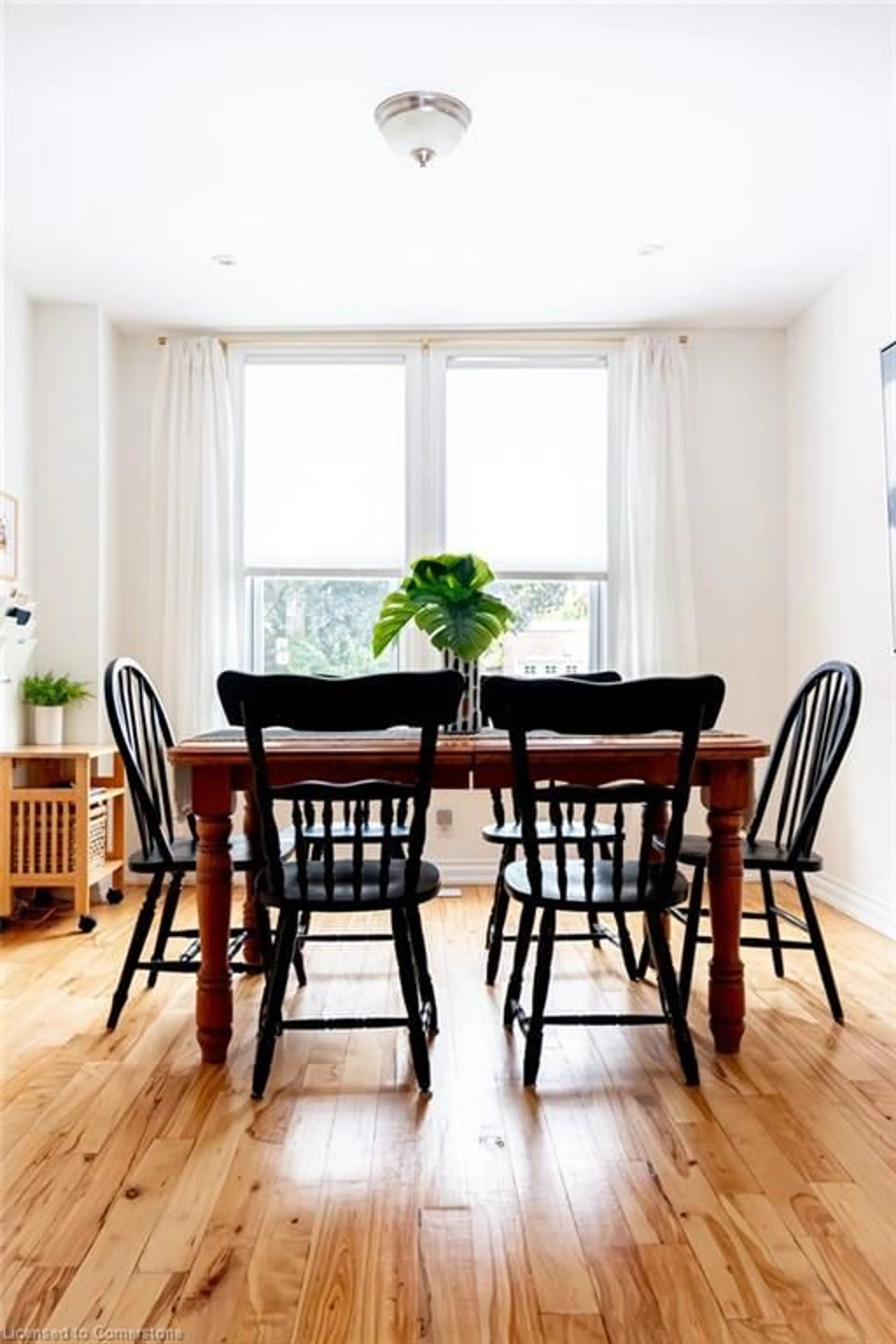 Dining room, wood/laminate floor for 49 Sheaffe St, Hamilton Ontario L8R 2E8