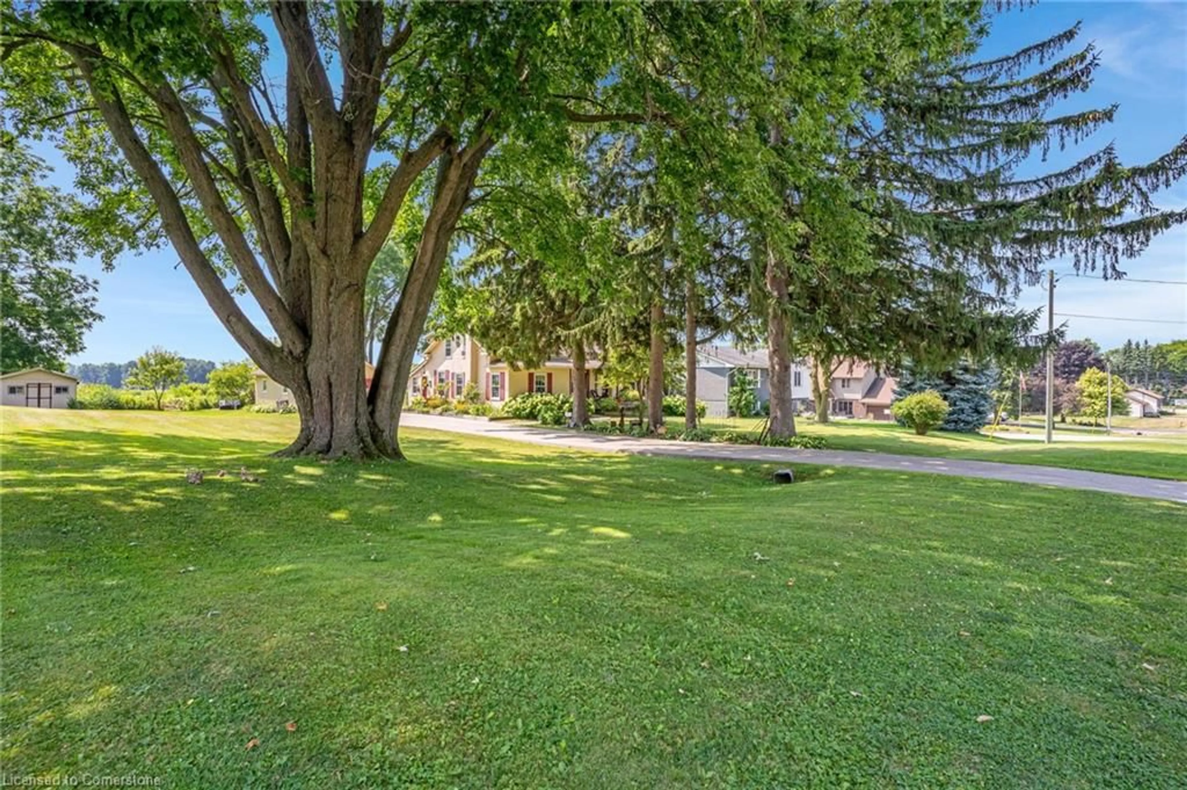 Patio, street for 91 Albert St, Plattsville Ontario N0J 1S0