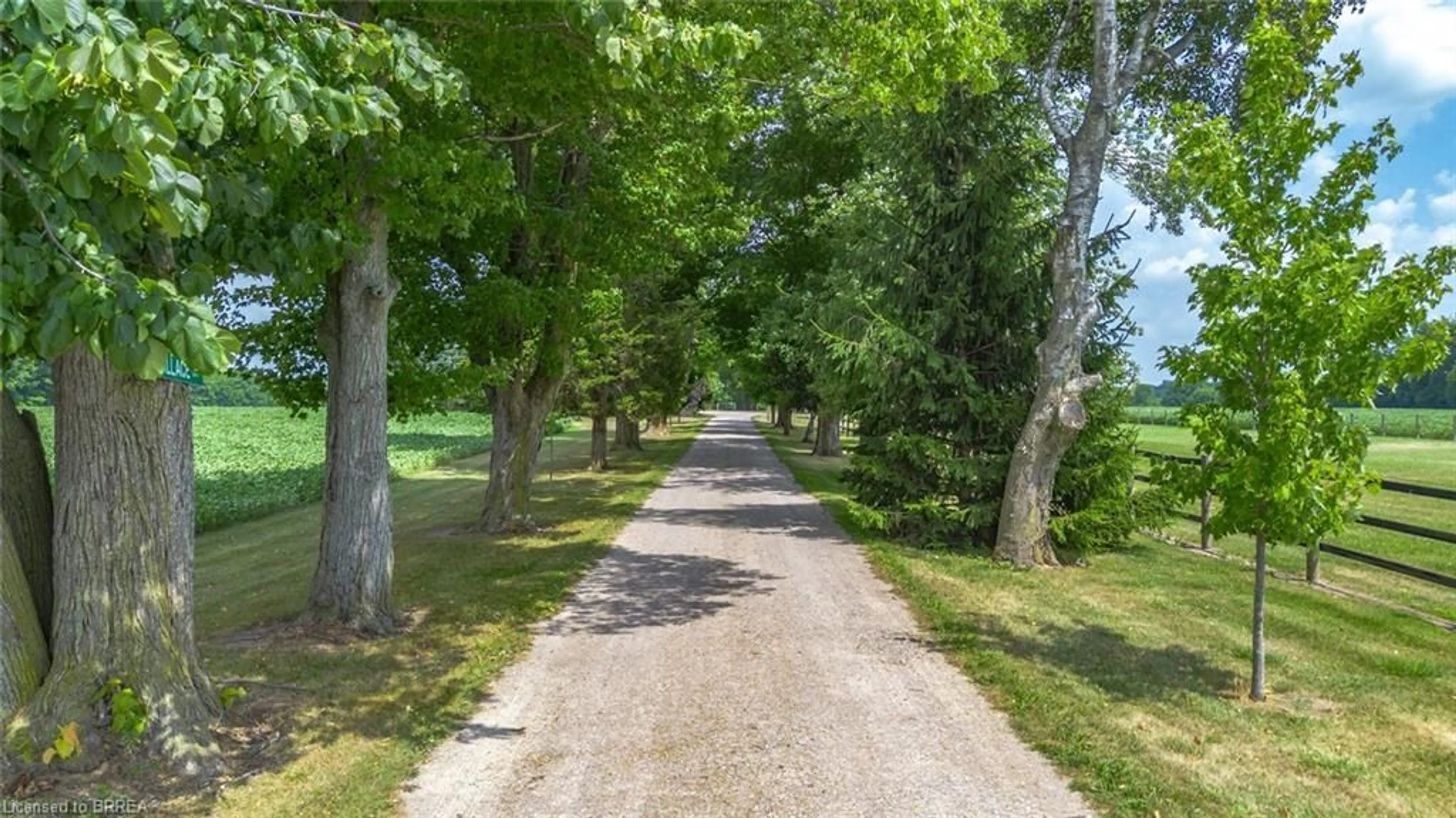 A pic from outside/outdoor area/front of a property/back of a property/a pic from drone, forest/trees view for 81 Mcgill Rd, Mount Pleasant Ontario N0E 1K0