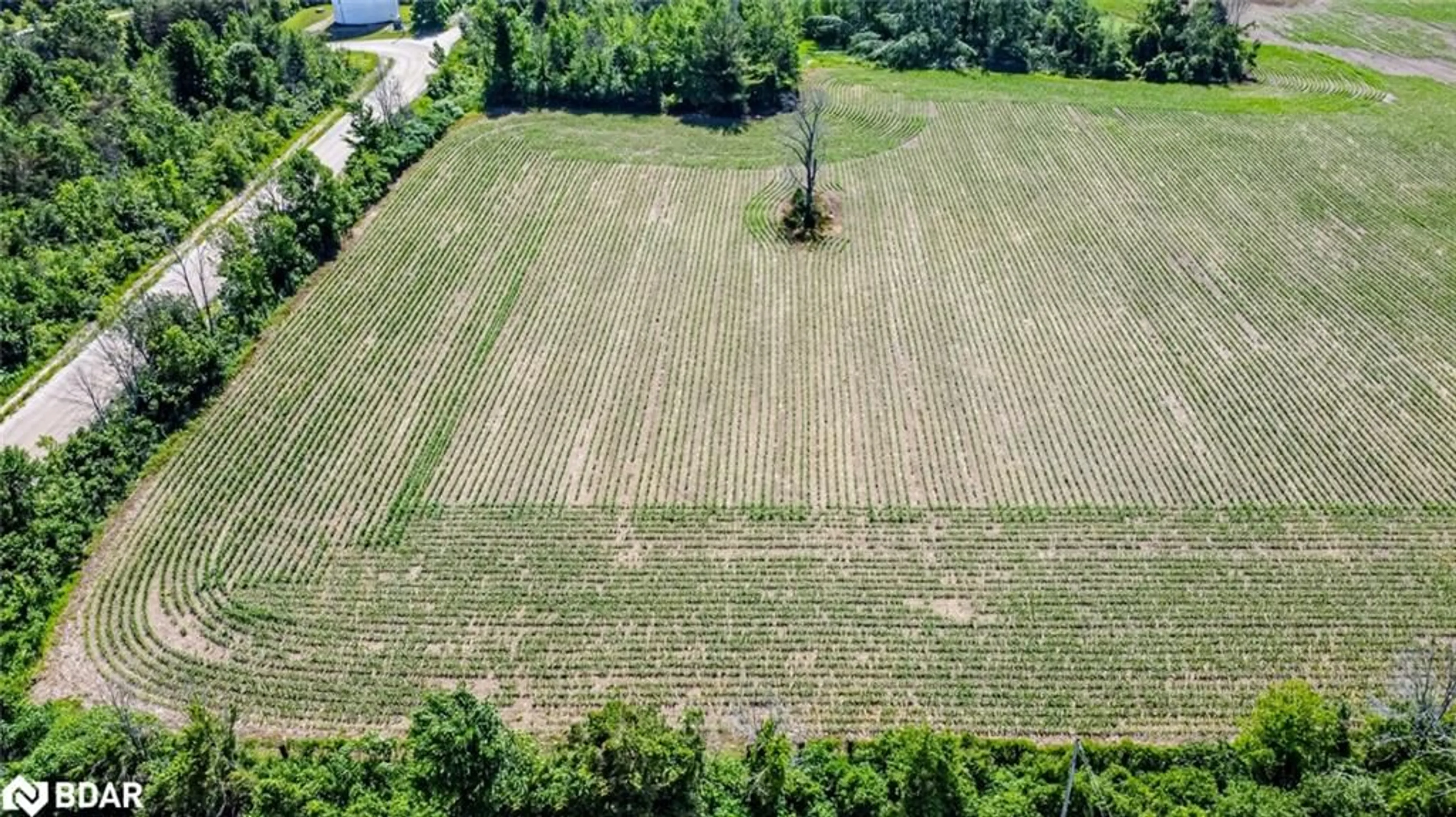 A pic from outside/outdoor area/front of a property/back of a property/a pic from drone, unknown for 426 Seventh Avenue, Tay Ontario L0K 1R0