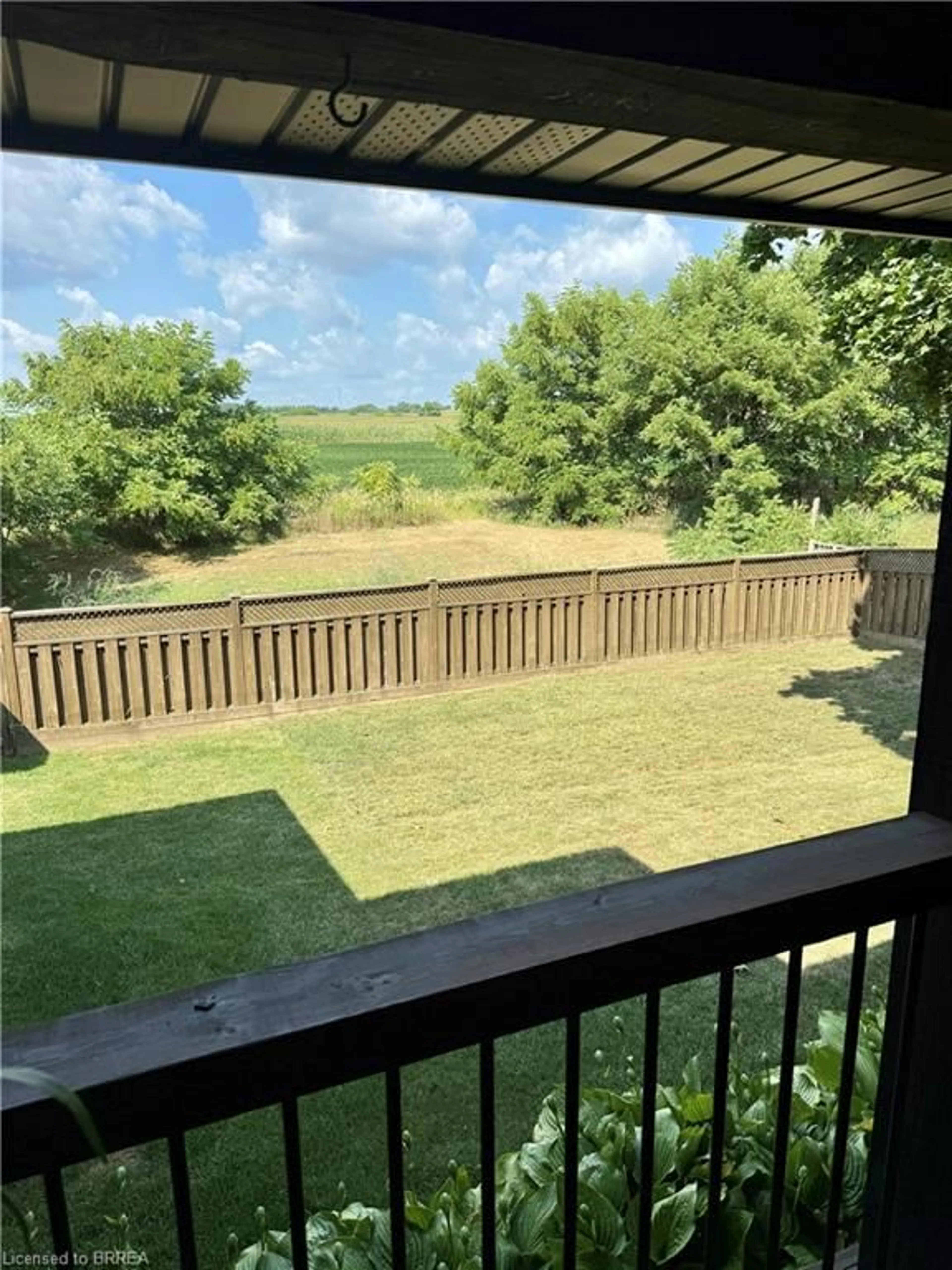 A pic from outside/outdoor area/front of a property/back of a property/a pic from drone, water/lake/river/ocean view for 49 Scott St, St. George Ontario N0E 1N0