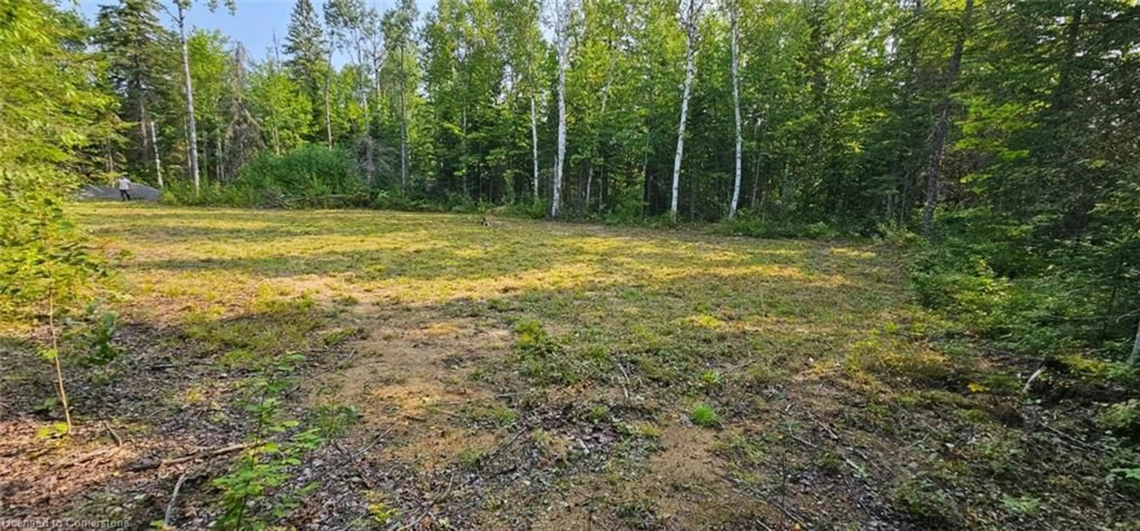 A pic from outside/outdoor area/front of a property/back of a property/a pic from drone, forest/trees view for 31 Arthur St, Lake St. Peter Ontario K0L 2K0