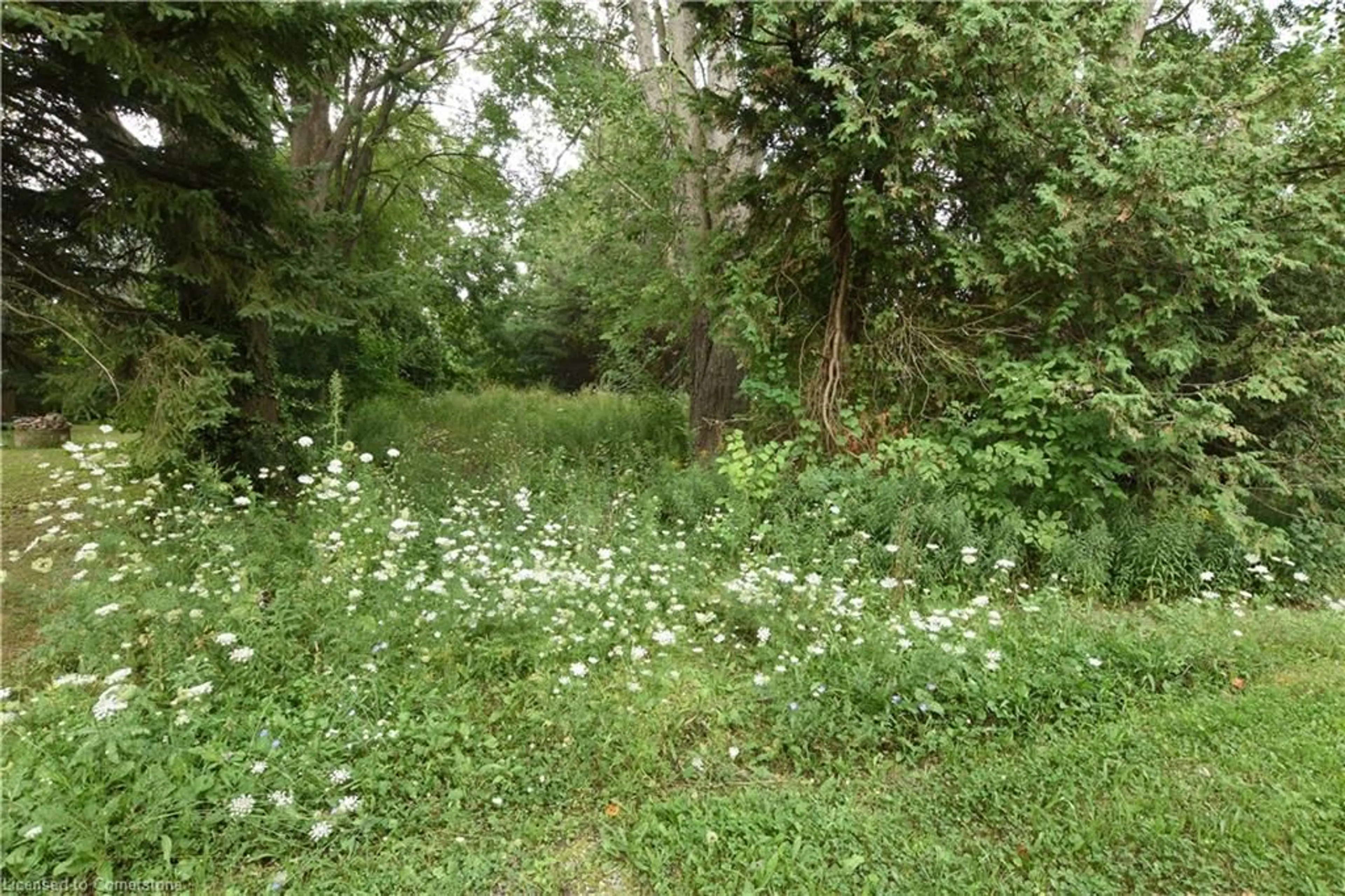 Blurry image for 944 Concession 6 Townsend, Waterford Ontario N0E 1Y0