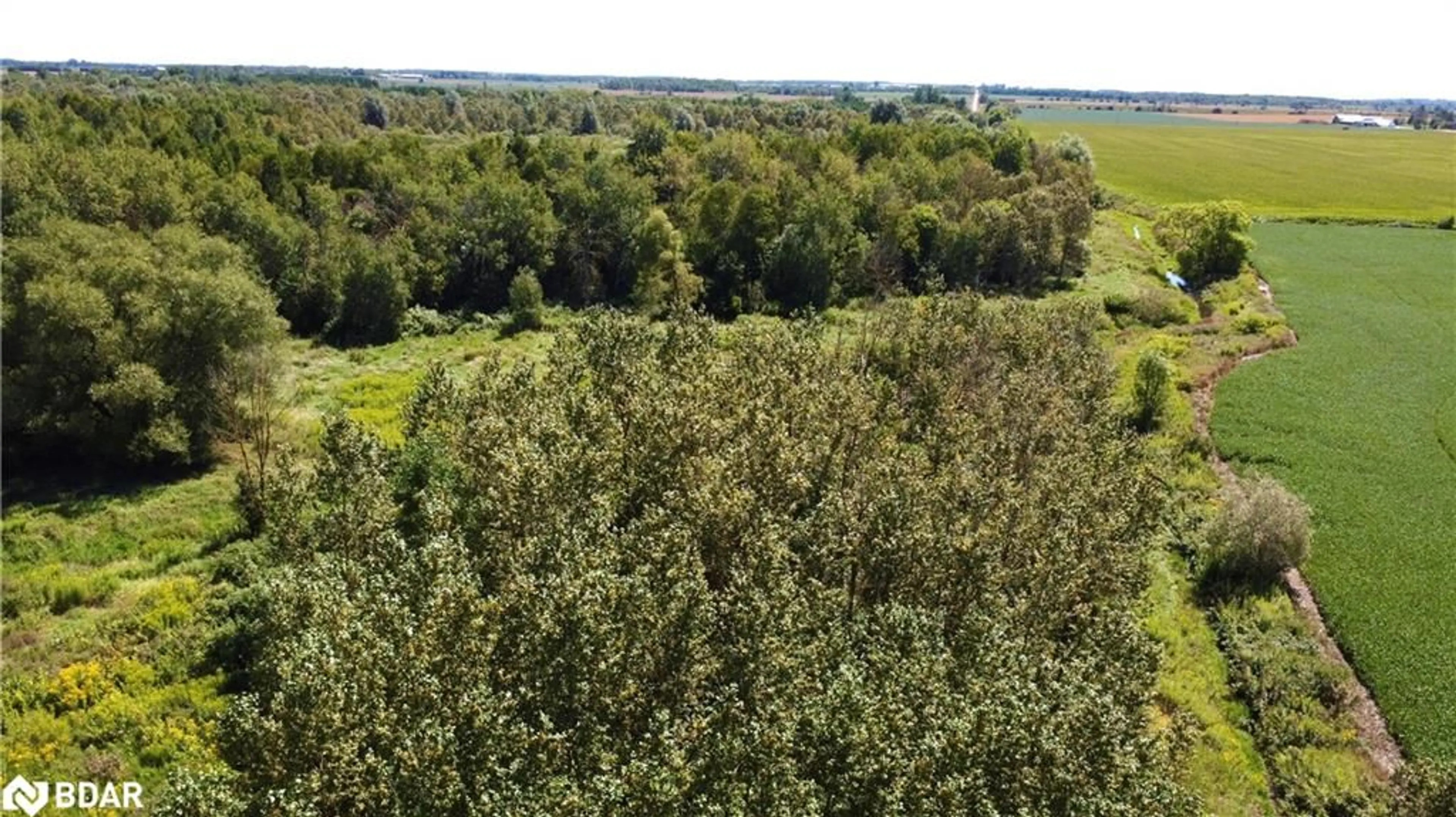 A pic from outside/outdoor area/front of a property/back of a property/a pic from drone, forest/trees view for PT LT 26&27 Wellington Rd 109, Wellington North Ontario N0G 1A0