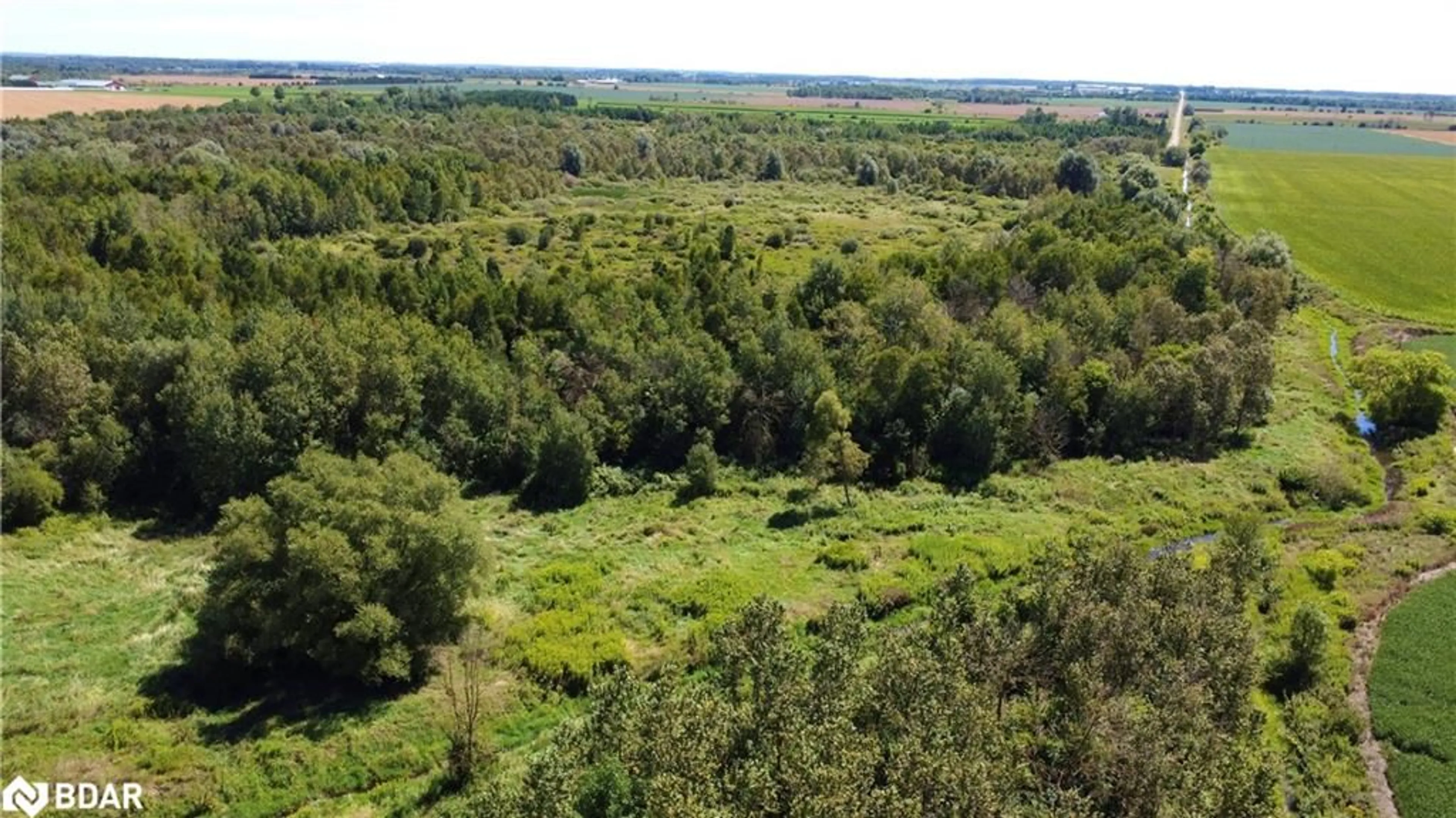 A pic from outside/outdoor area/front of a property/back of a property/a pic from drone, forest/trees view for PT LT 26&27 Wellington Rd 109, Wellington North Ontario N0G 1A0
