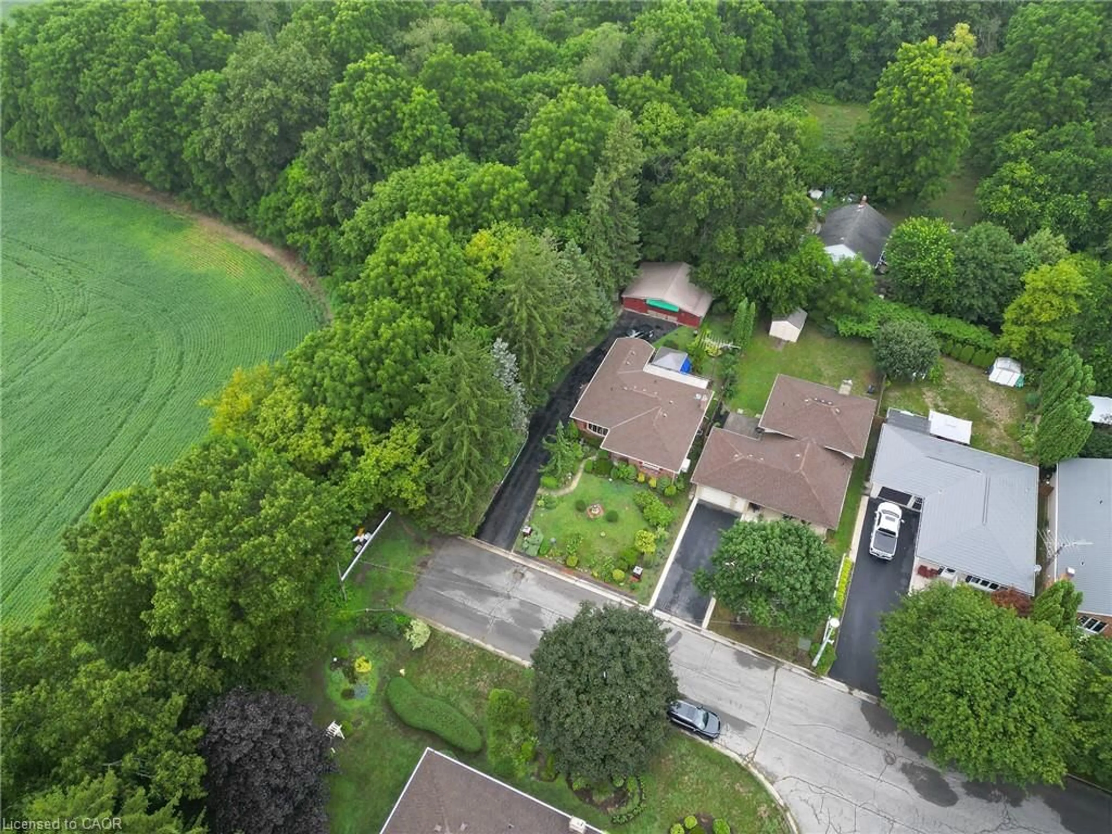 A pic from outside/outdoor area/front of a property/back of a property/a pic from drone, forest/trees view for 17 Kelly Ave, Simcoe Ontario N3Y 4V6