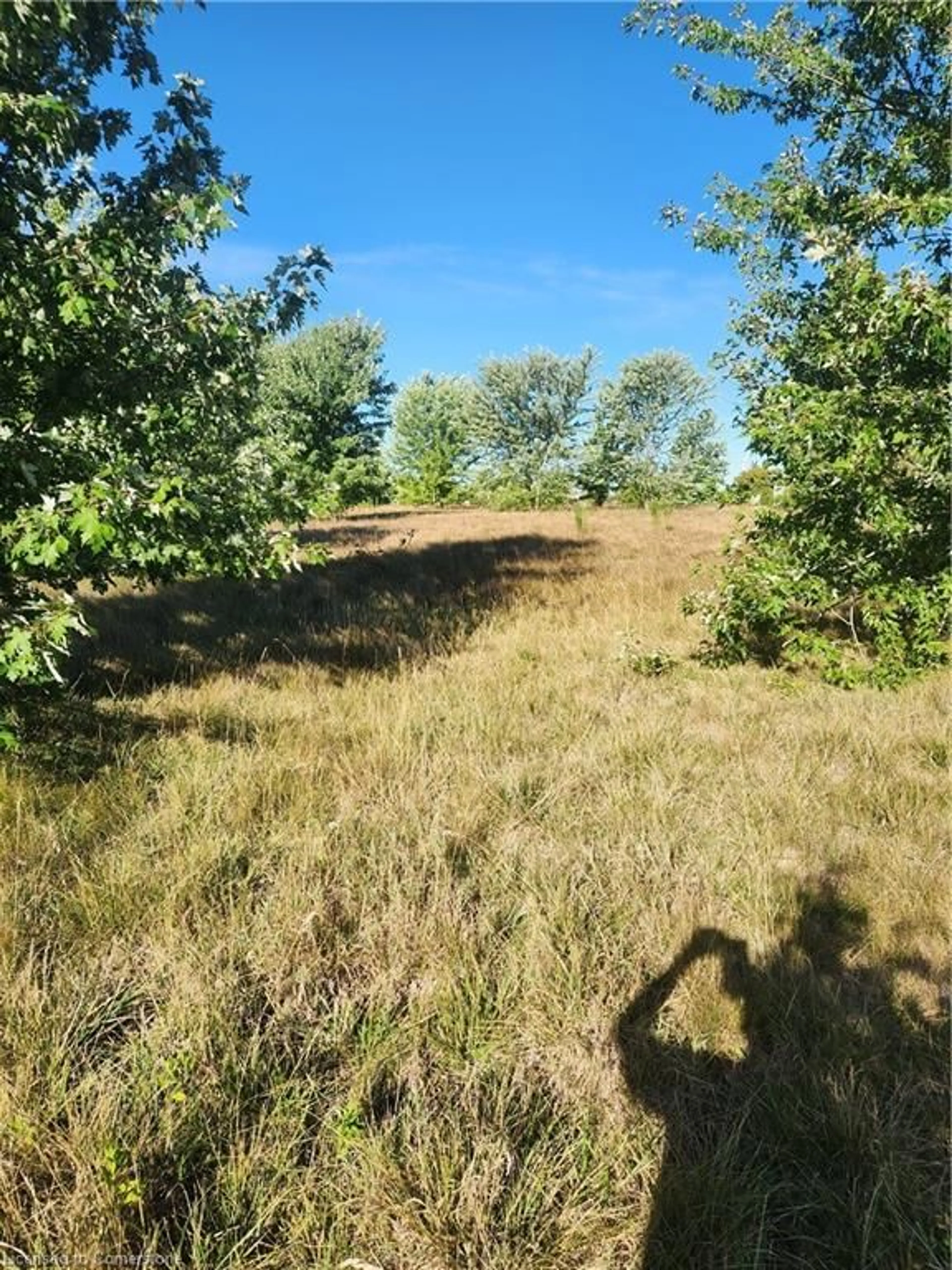 A pic from outside/outdoor area/front of a property/back of a property/a pic from drone, forest/trees view for 225 Sweets Corner Rd, Selkirk Ontario N0A 1P0