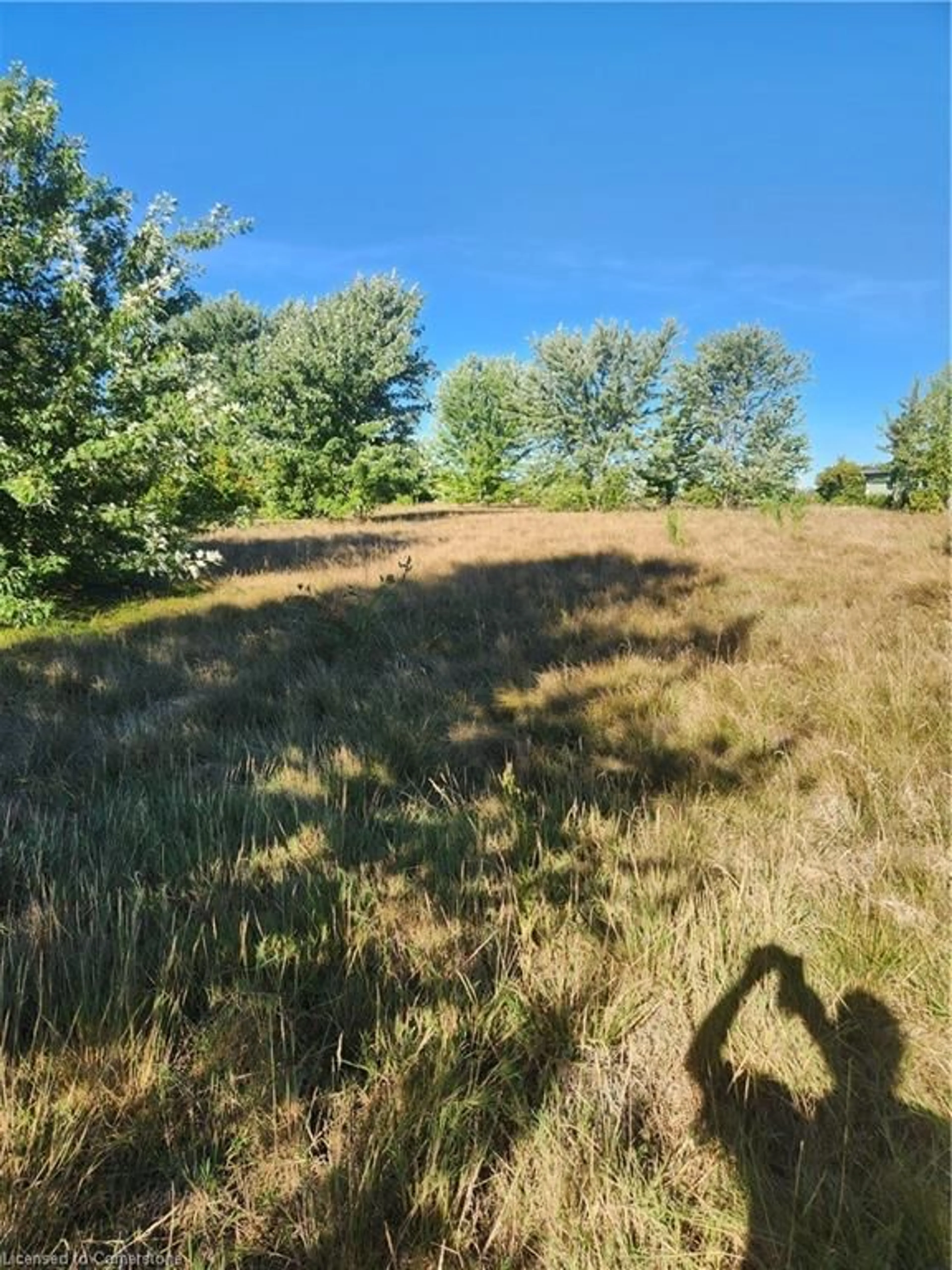 A pic from outside/outdoor area/front of a property/back of a property/a pic from drone, forest/trees view for 225 Sweets Corner Rd, Selkirk Ontario N0A 1P0