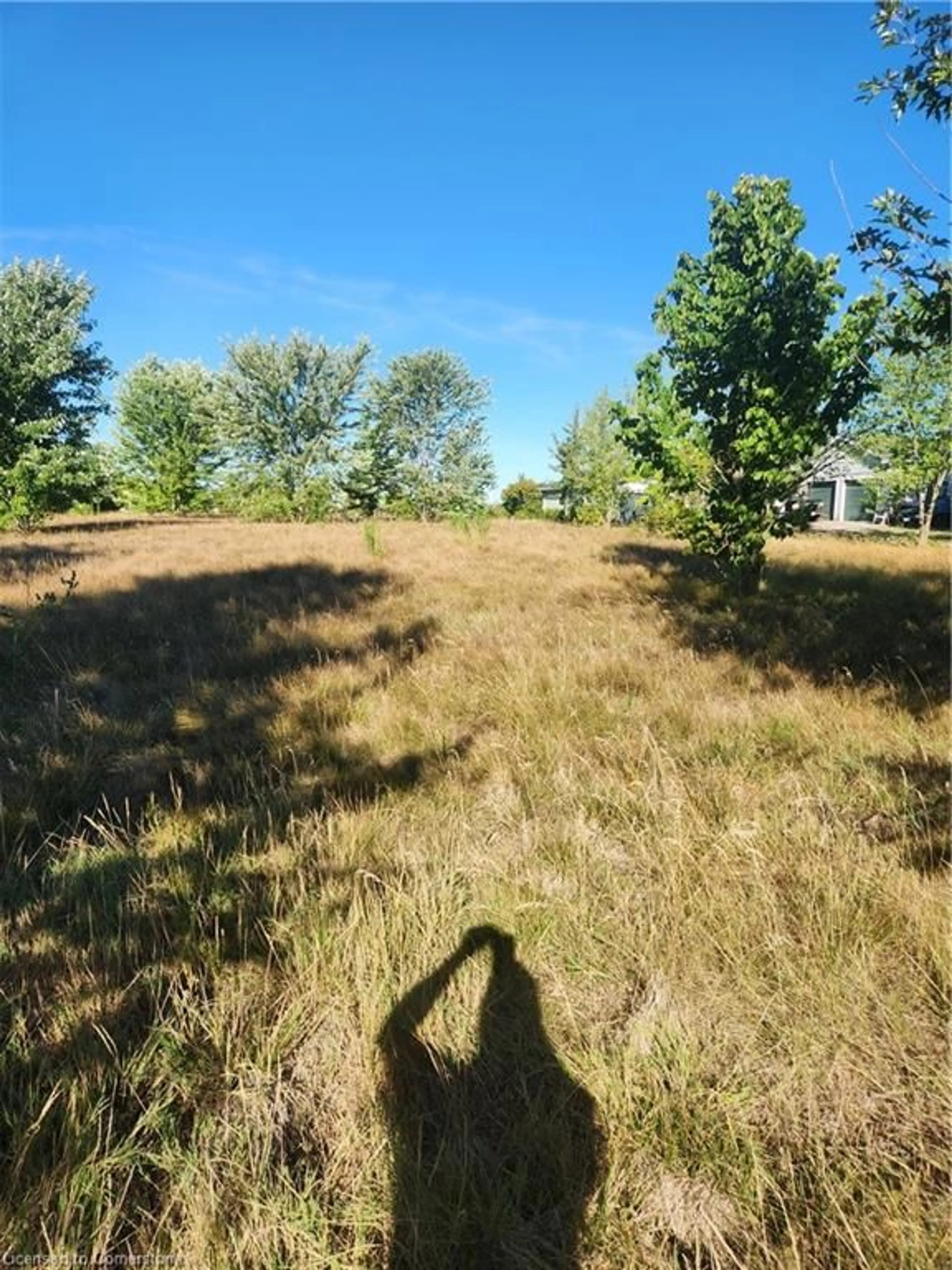 A pic from outside/outdoor area/front of a property/back of a property/a pic from drone, forest/trees view for 225 Sweets Corner Rd, Selkirk Ontario N0A 1P0