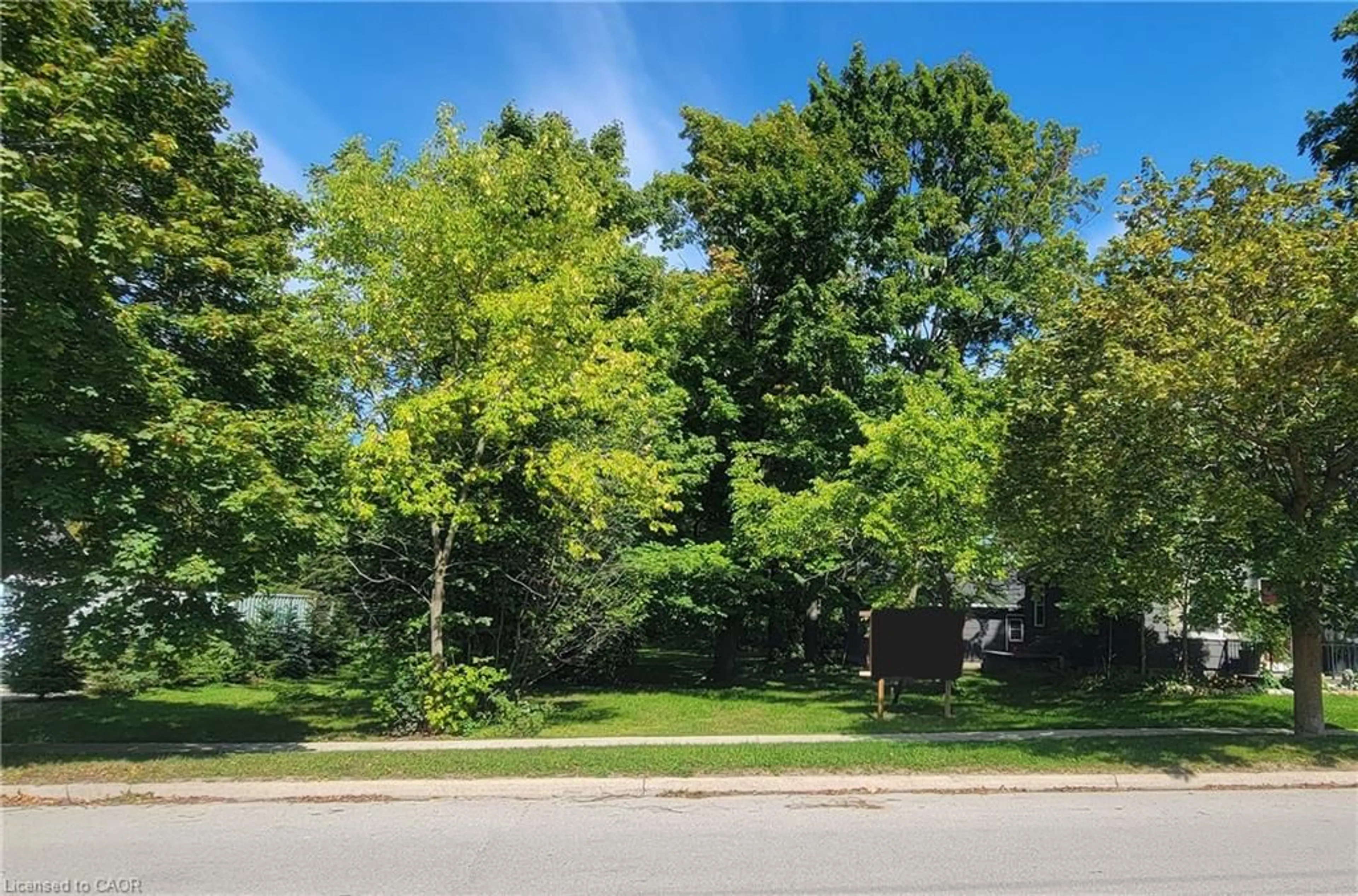 A pic from outside/outdoor area/front of a property/back of a property/a pic from drone, forest/trees view for LOT 5 Alfred St, Thornbury Ontario N0H 2P0
